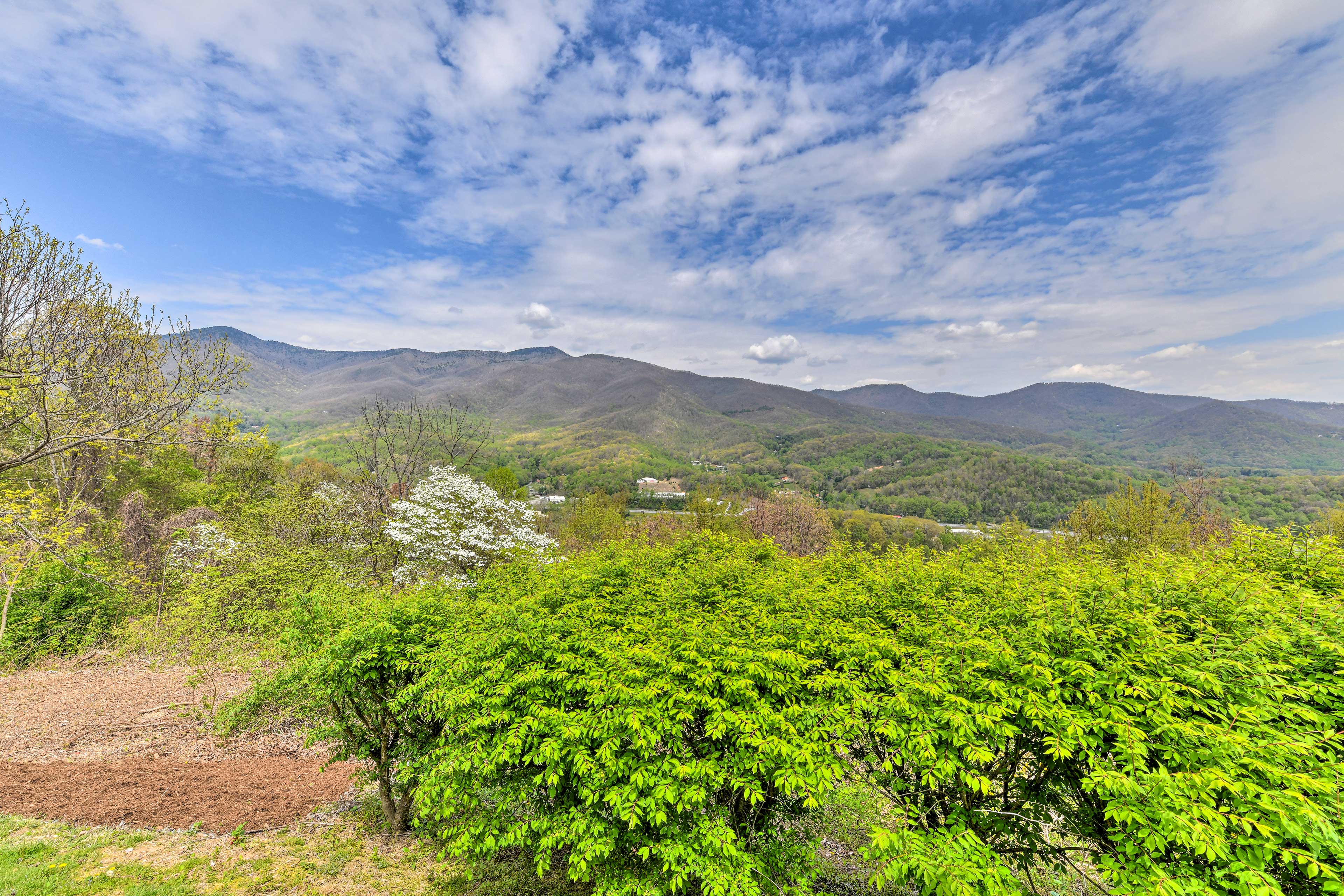 View From Covered Porch