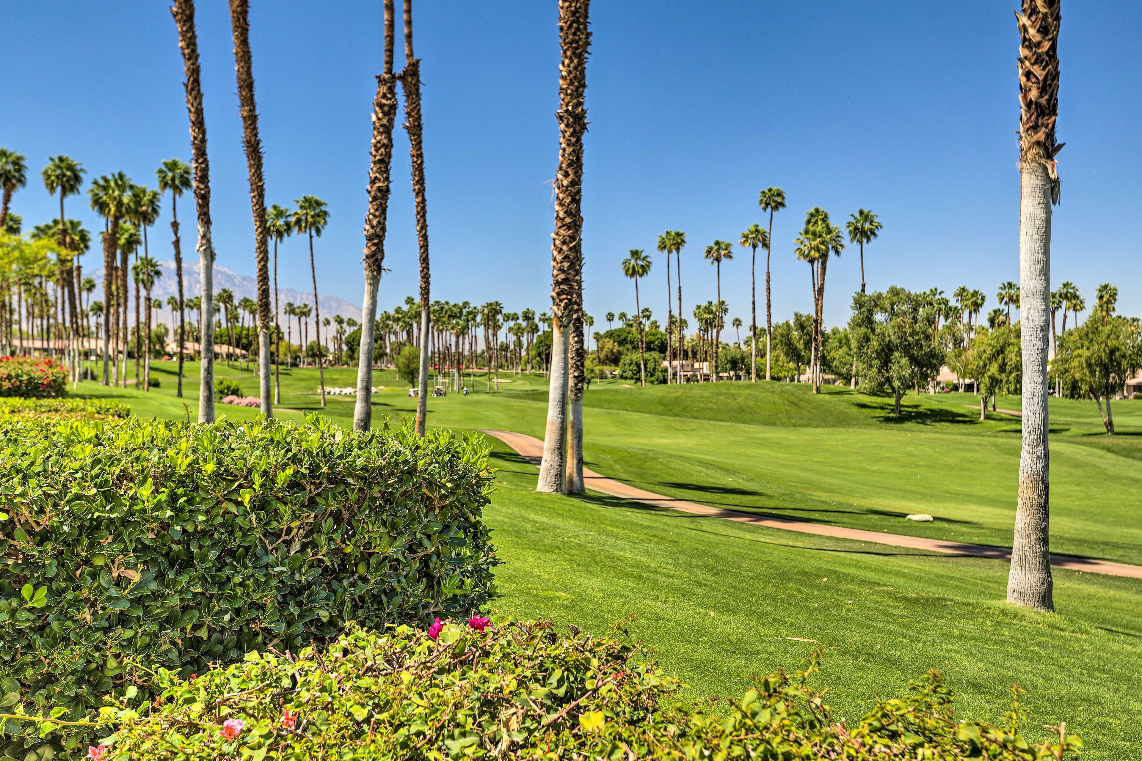 Golf Course Views