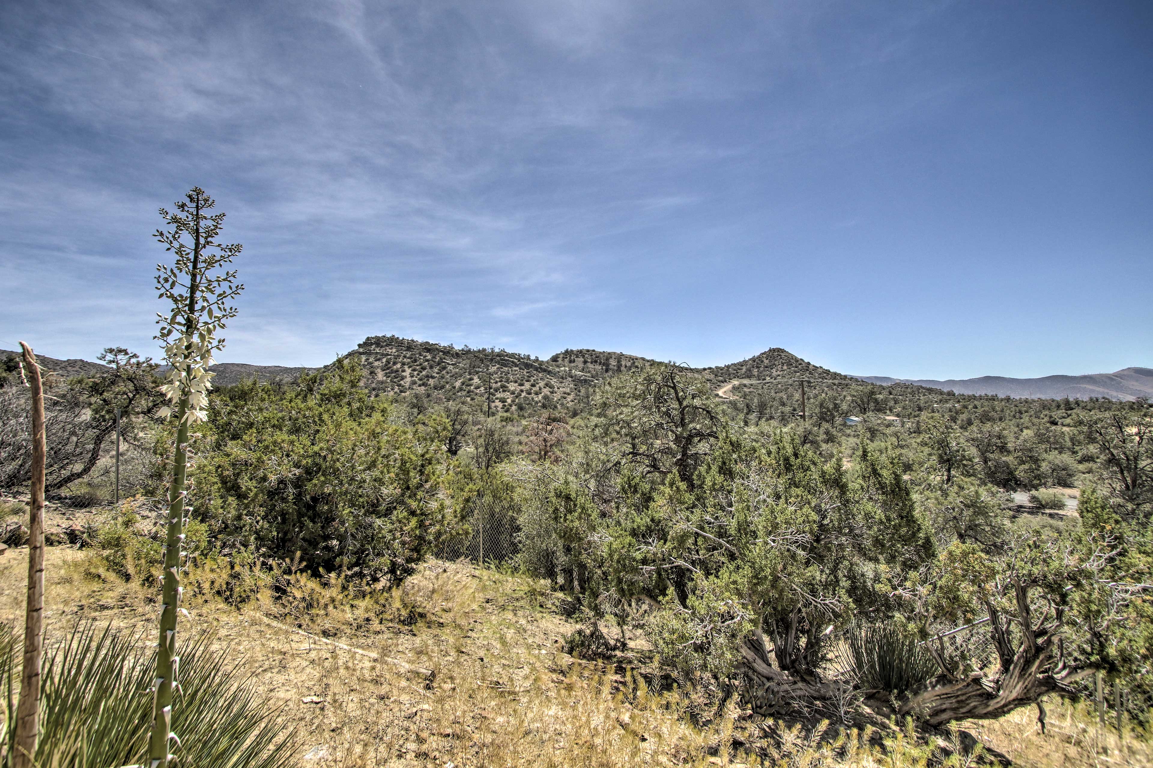 Private Yard | Mountain Views