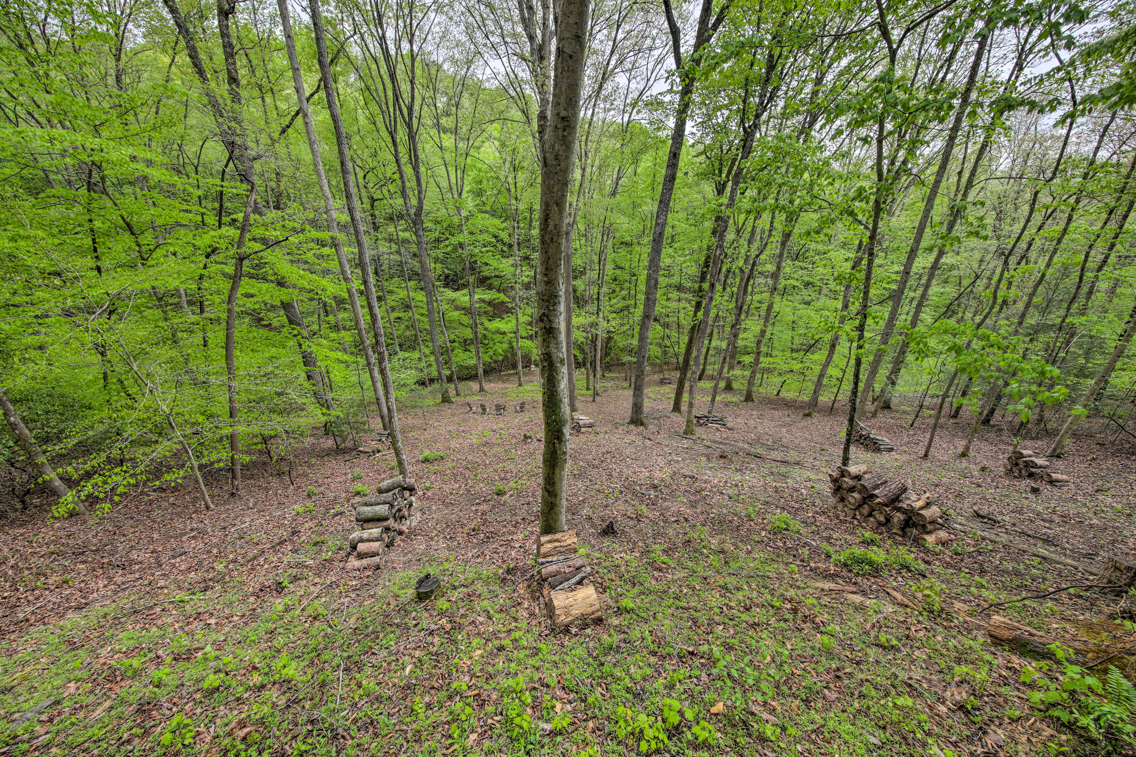 Cabin Exterior | Deck View