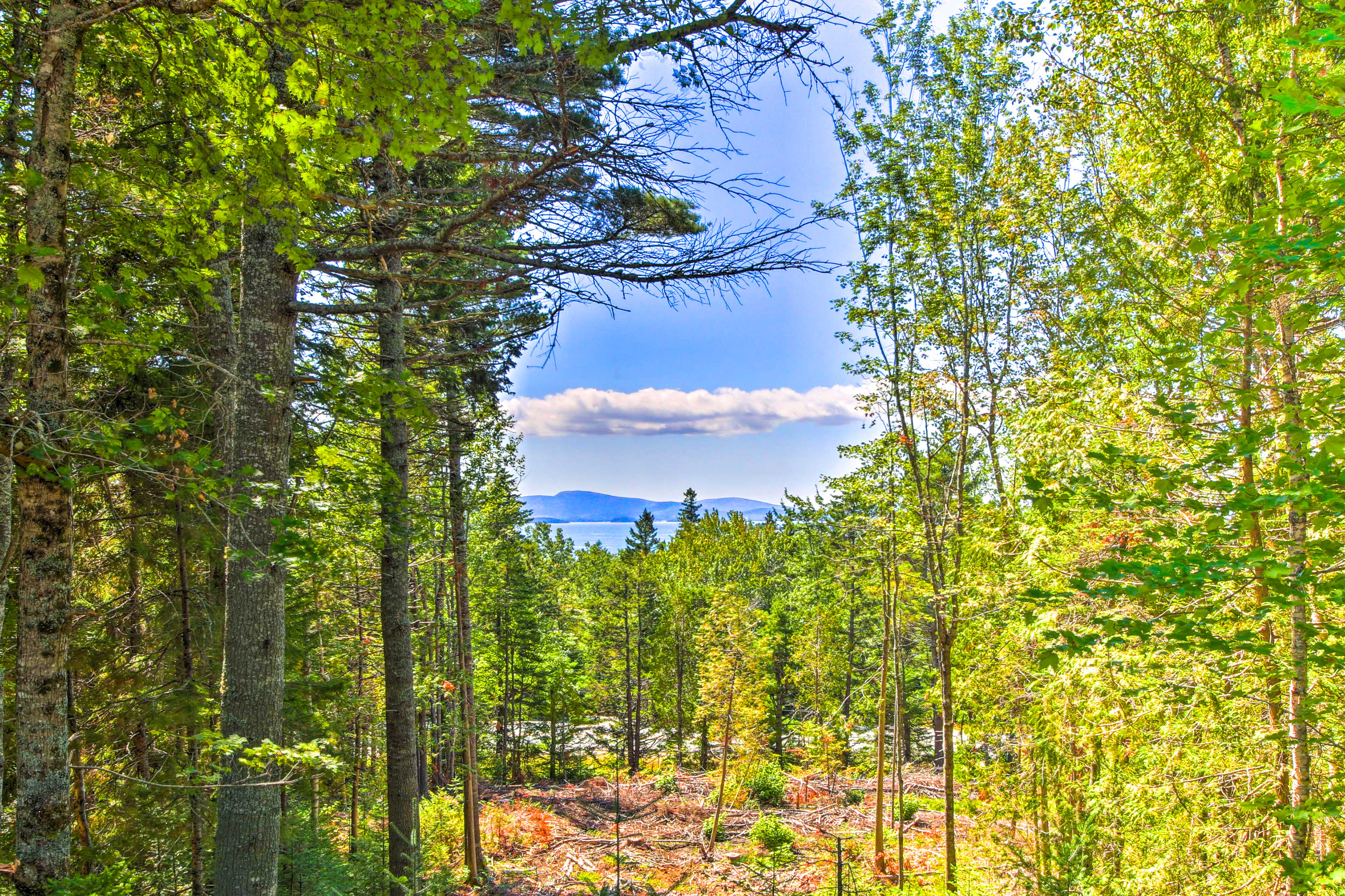 Property View | Acadia National Park Mountains