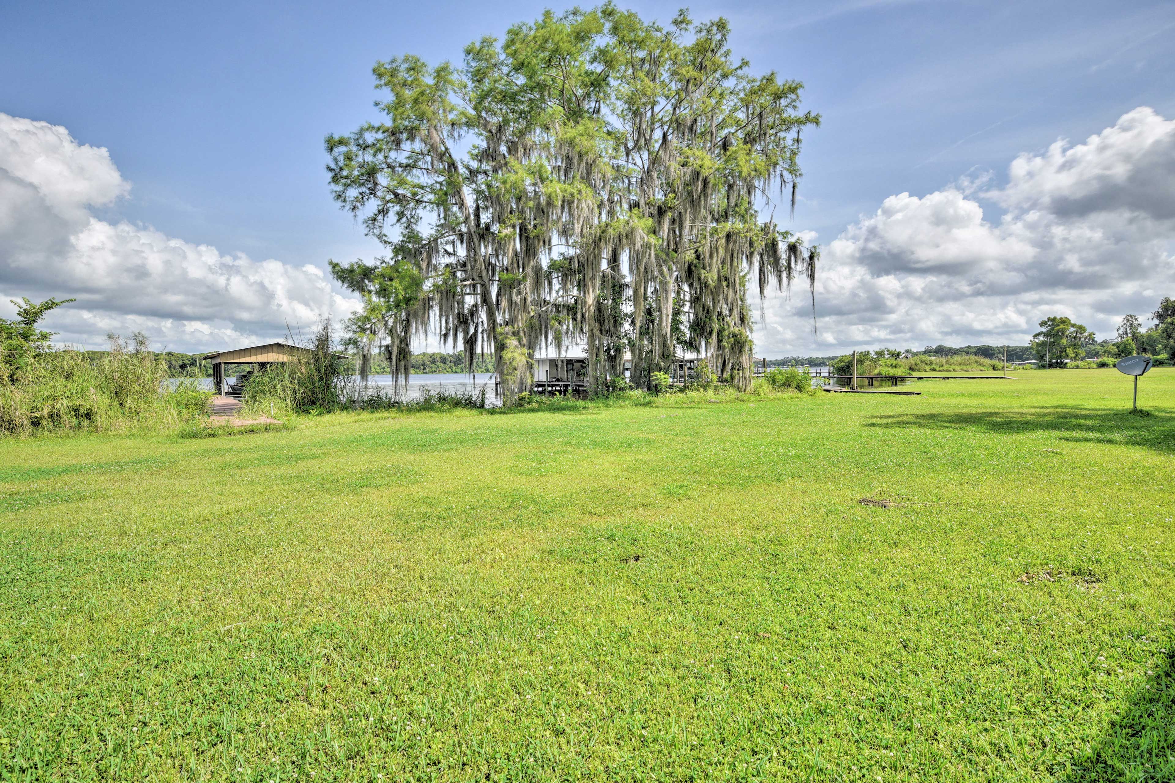 Spacious Yard