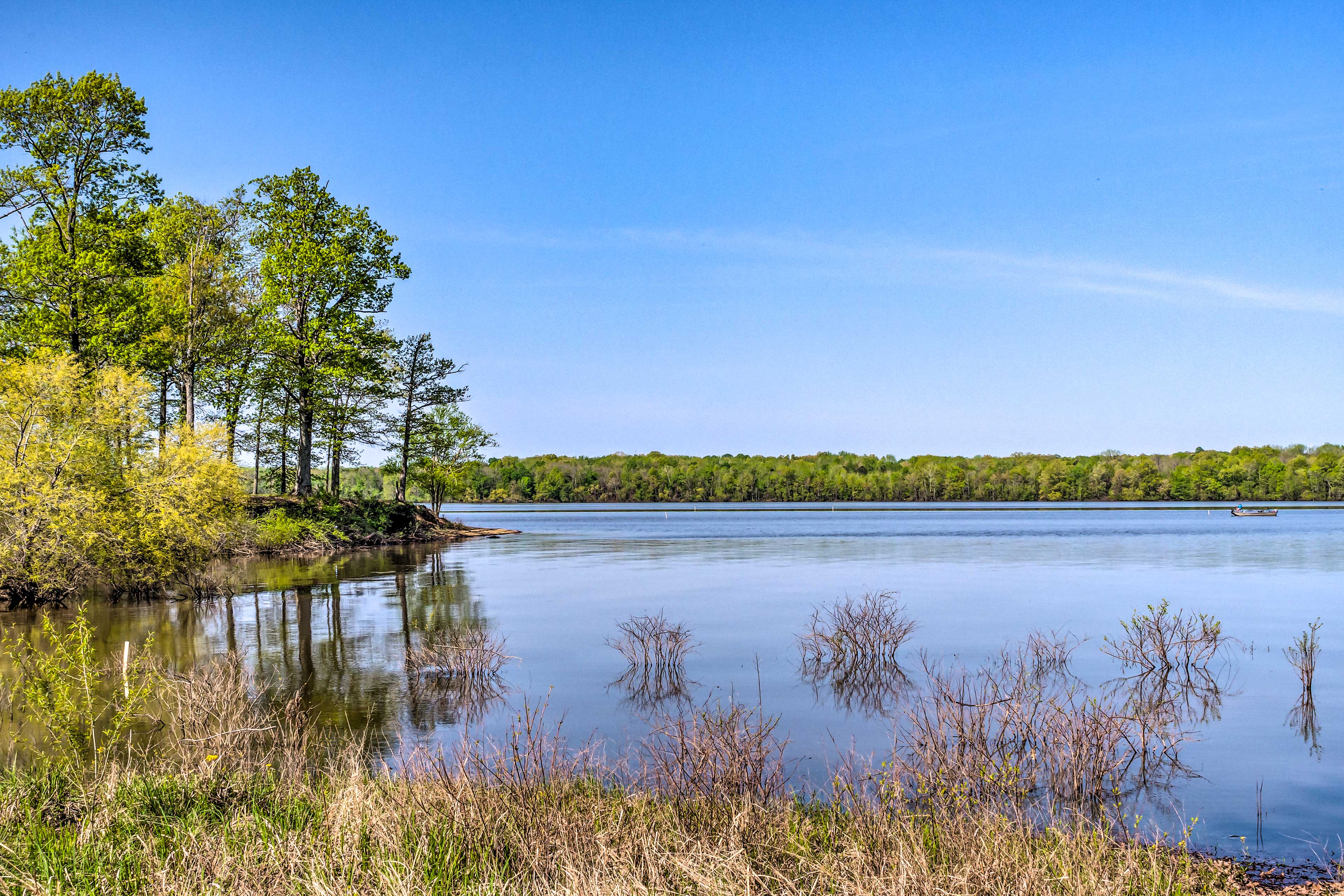 Kentucky Lake