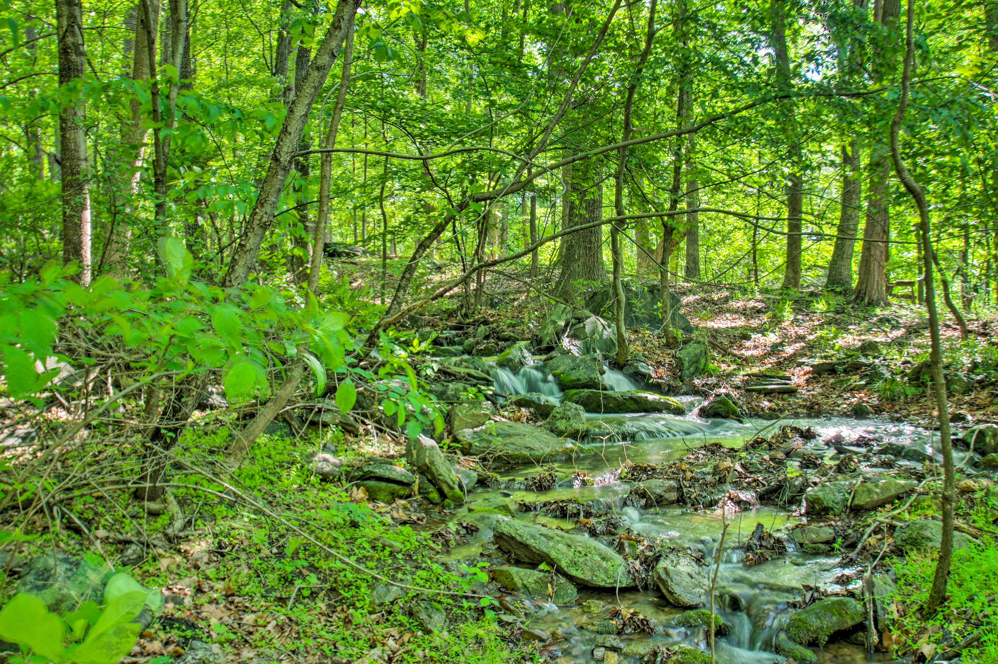 Creek & Walking Paths On-Site