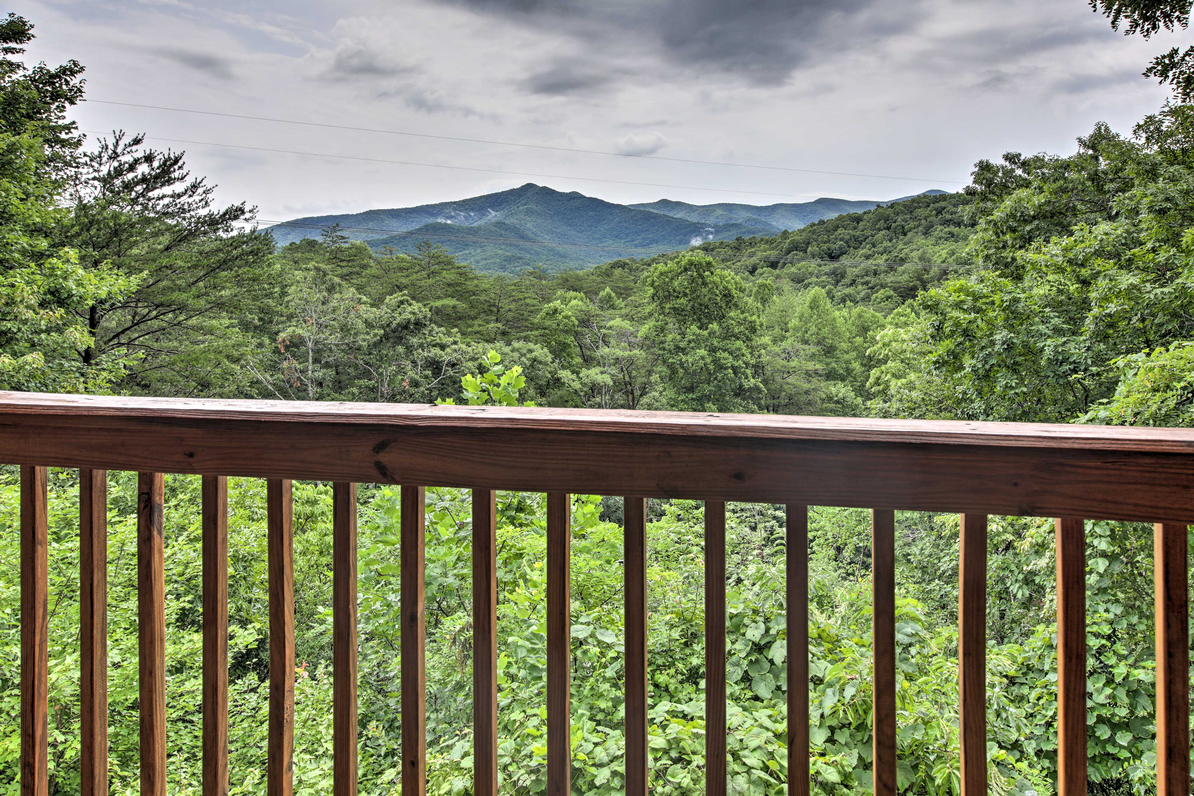 Deck Views