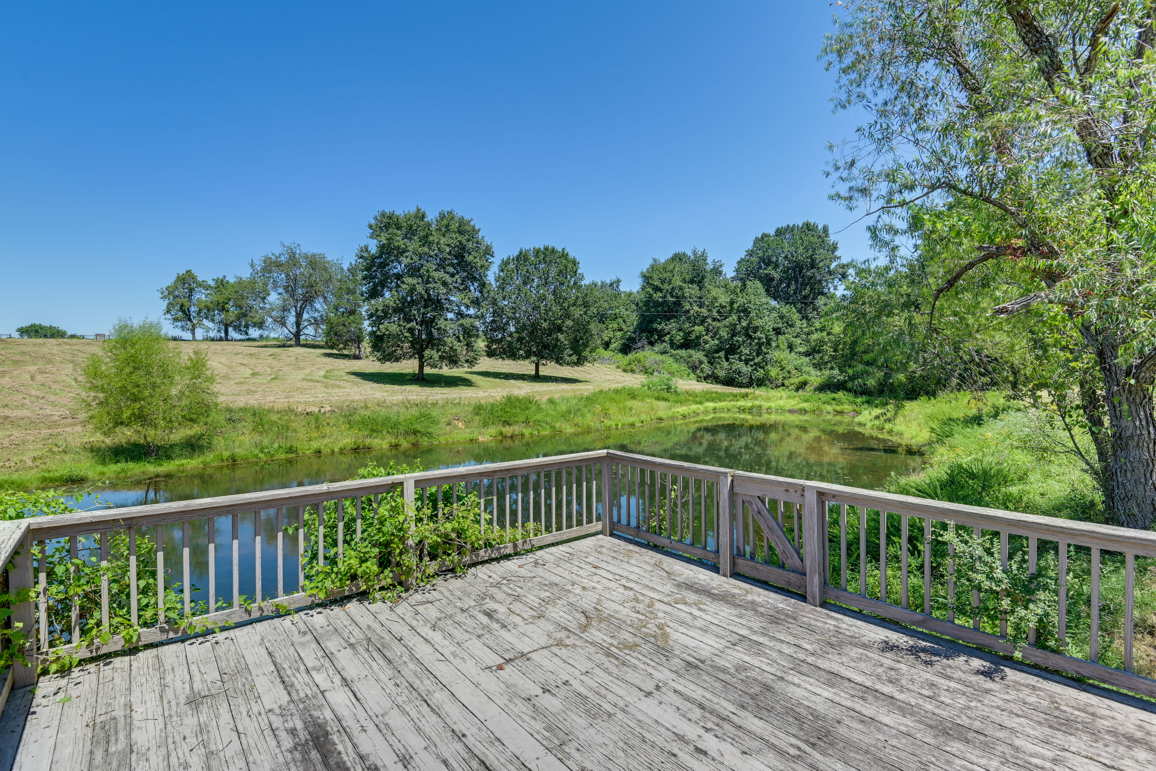 Nature Preserve | Deck