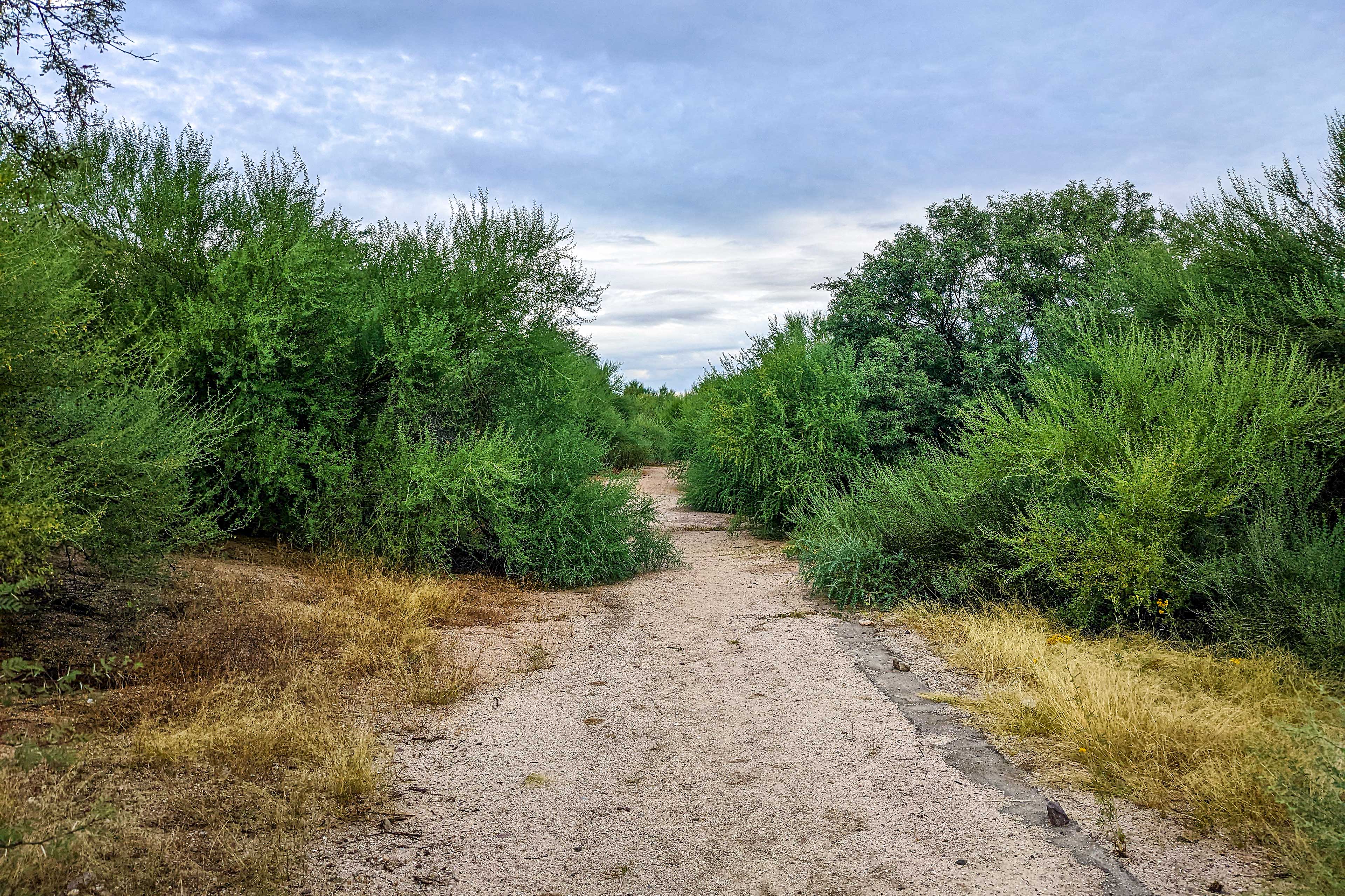 Walking/Bike Paths