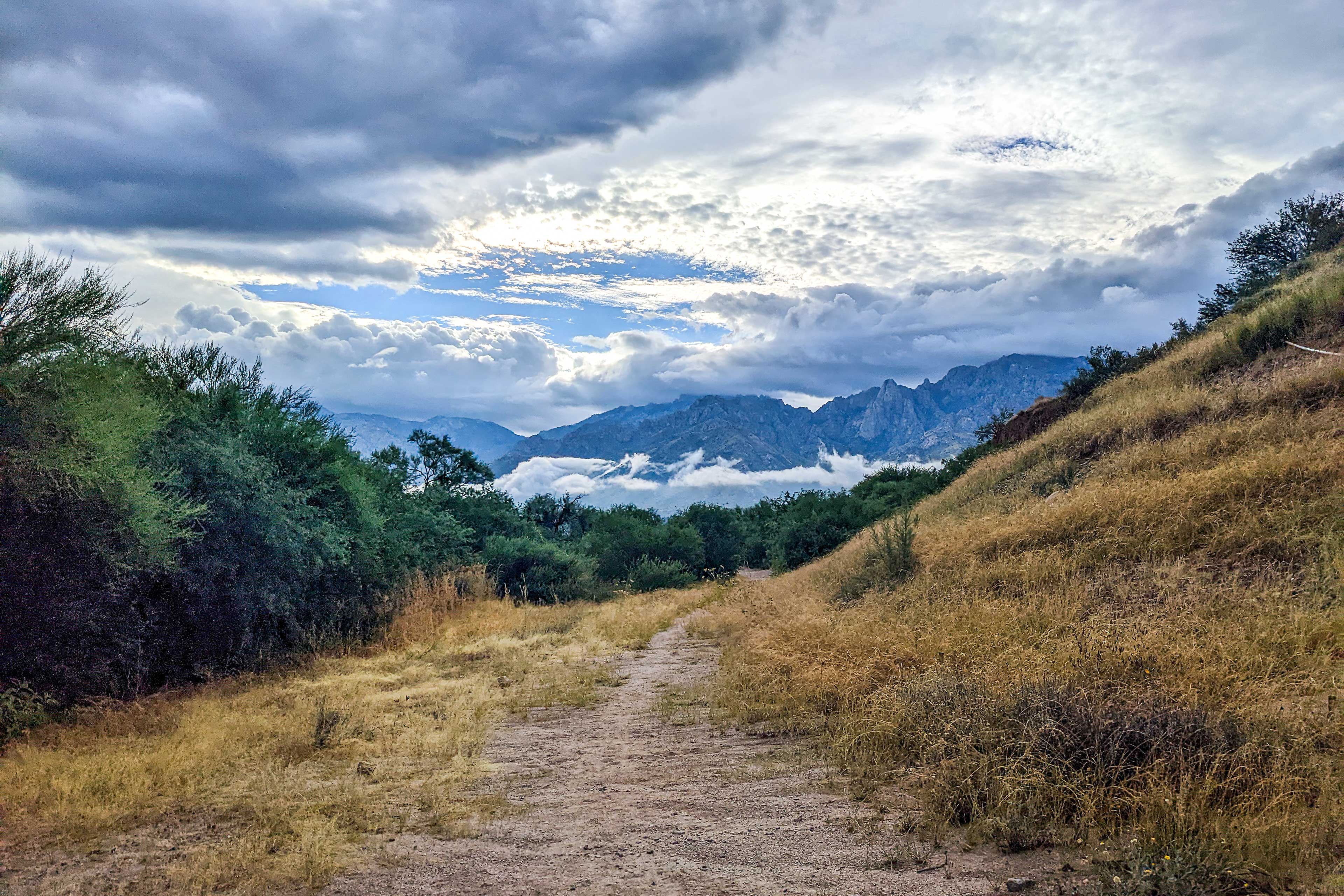 Walking/Bike Paths