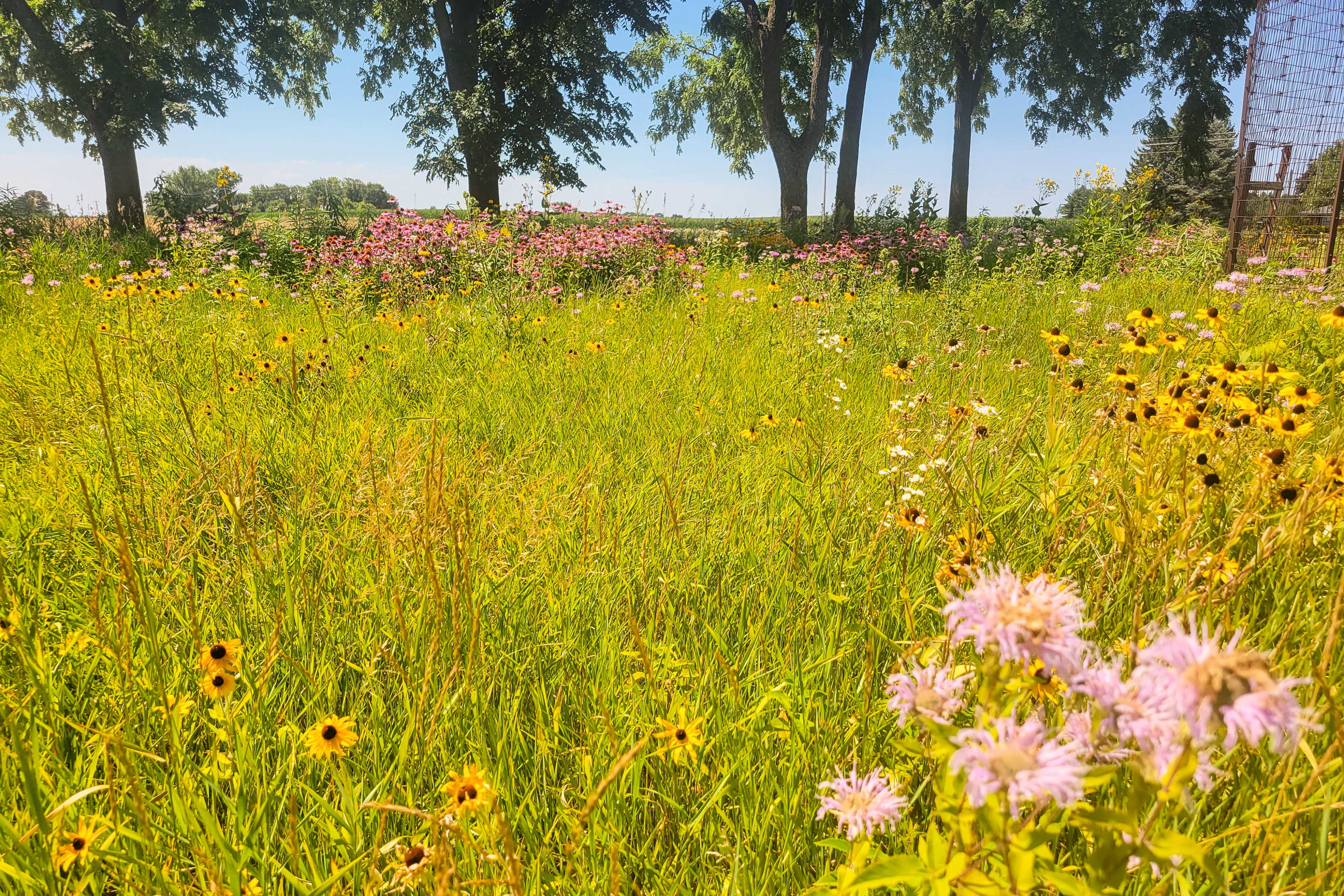 Hiking Trails On-Site