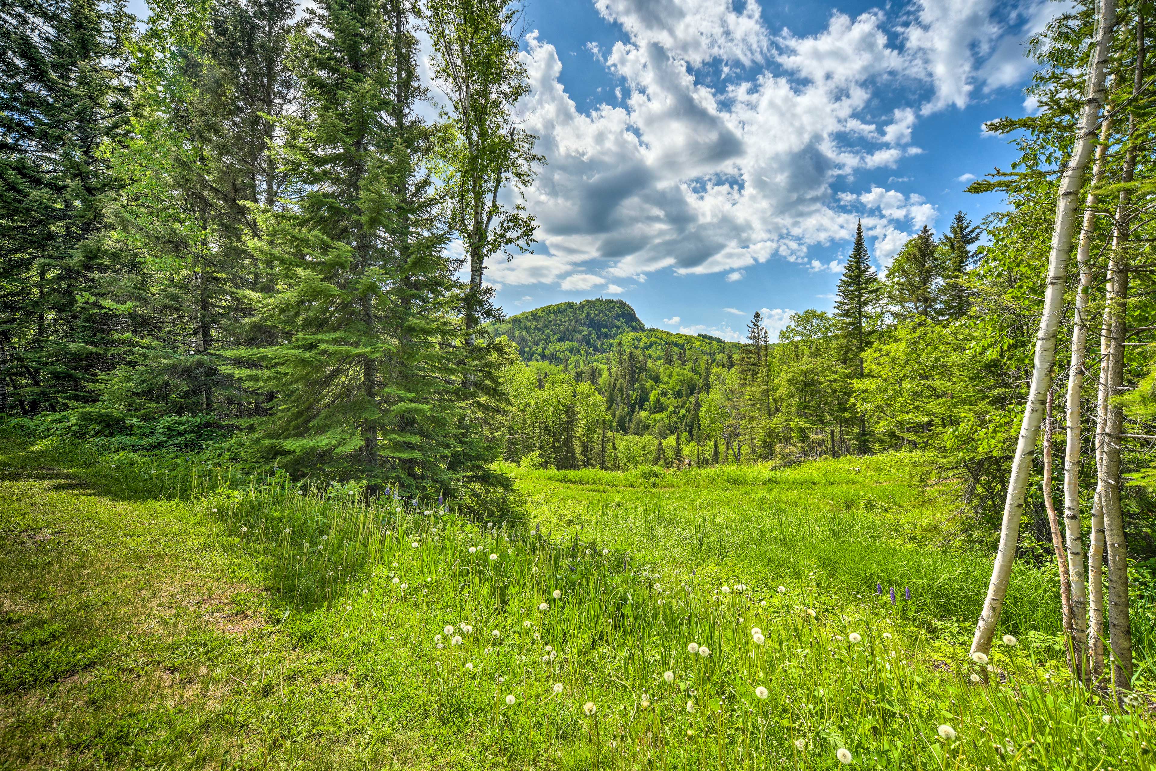 Hiking Area