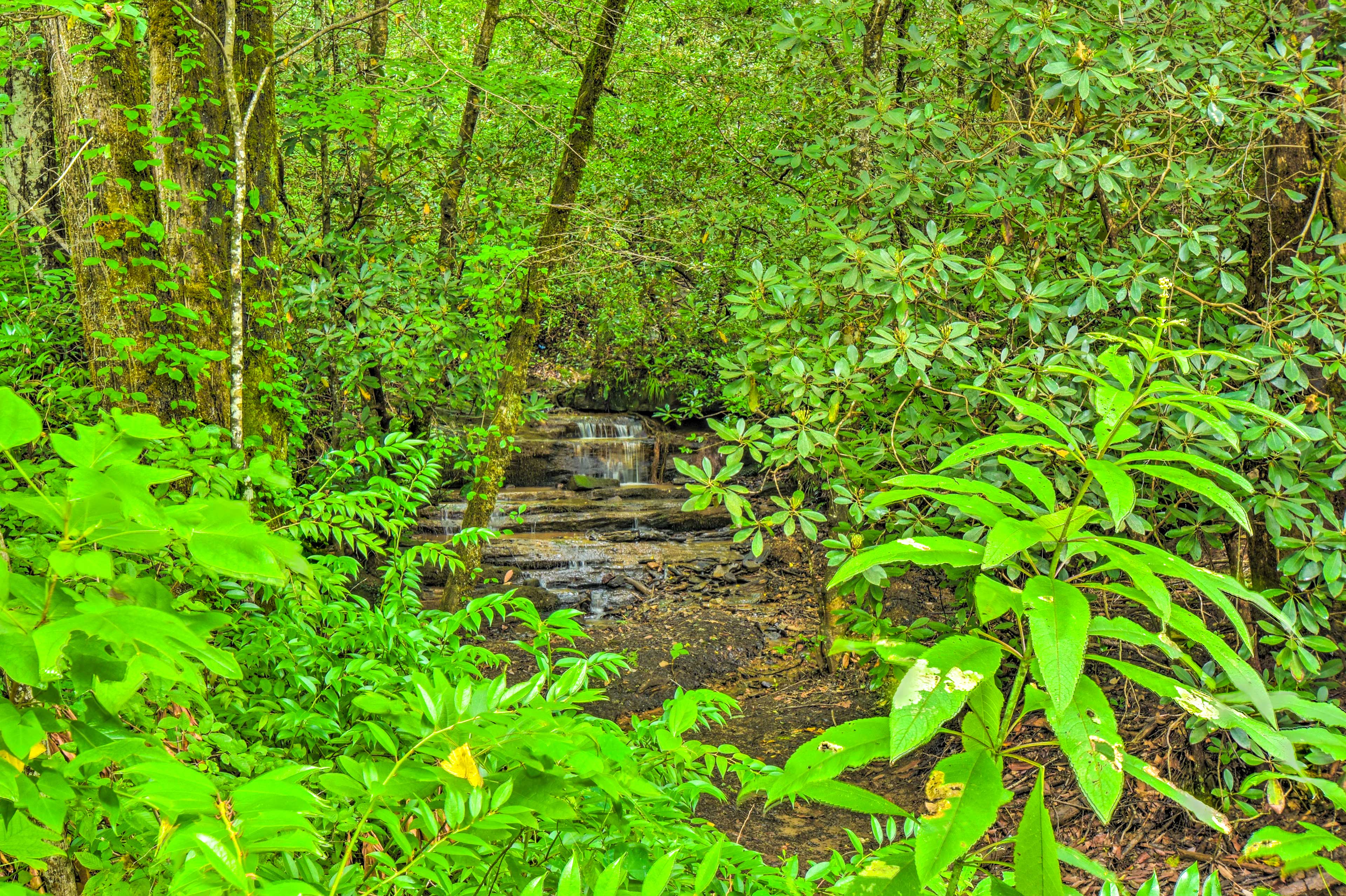 Waterfalls & Streams On-Site