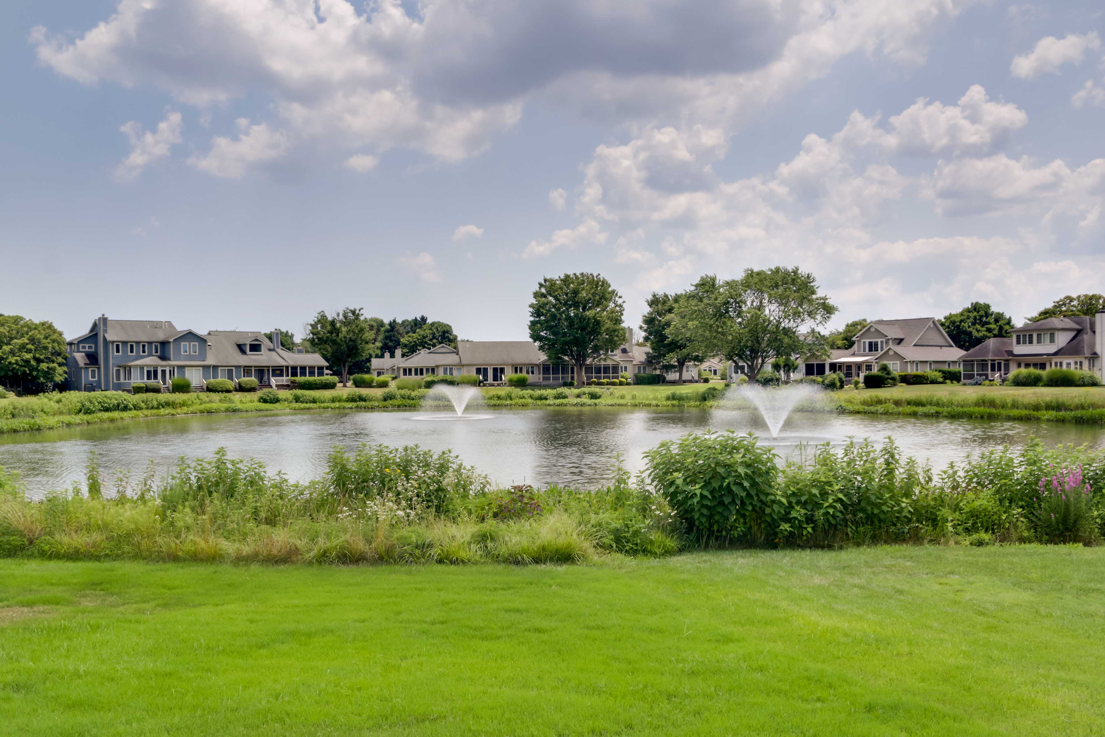 Pond Views