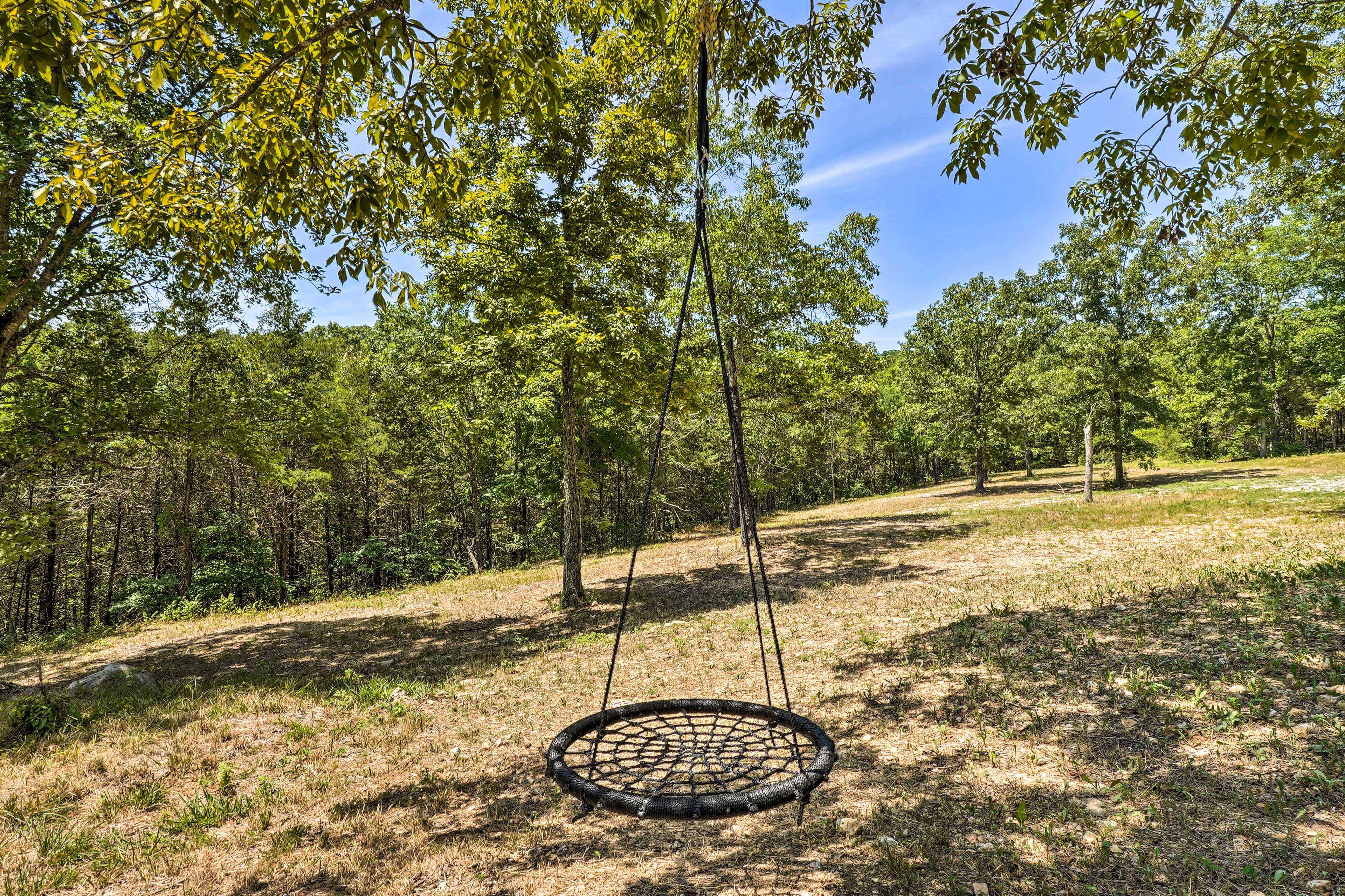 Tree Swing