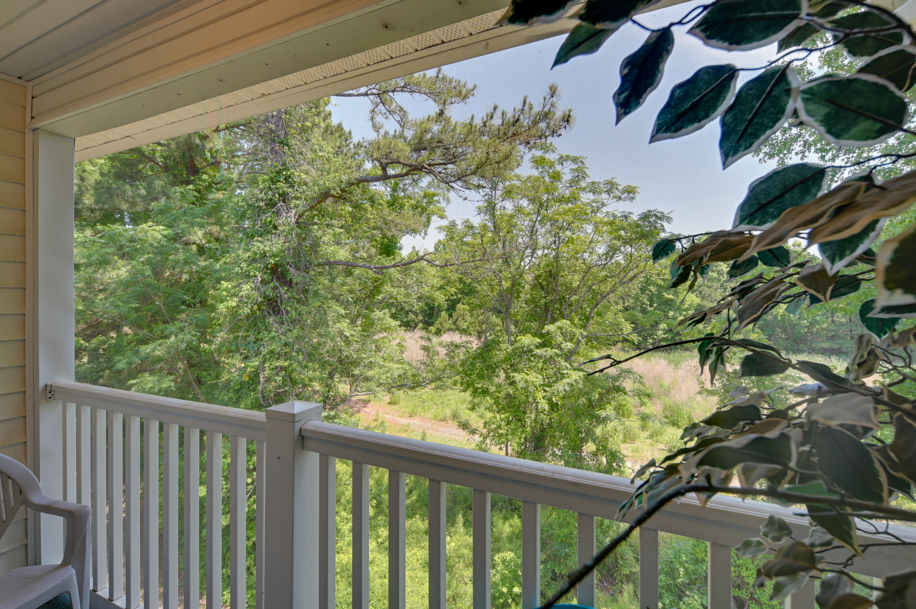 Balcony View