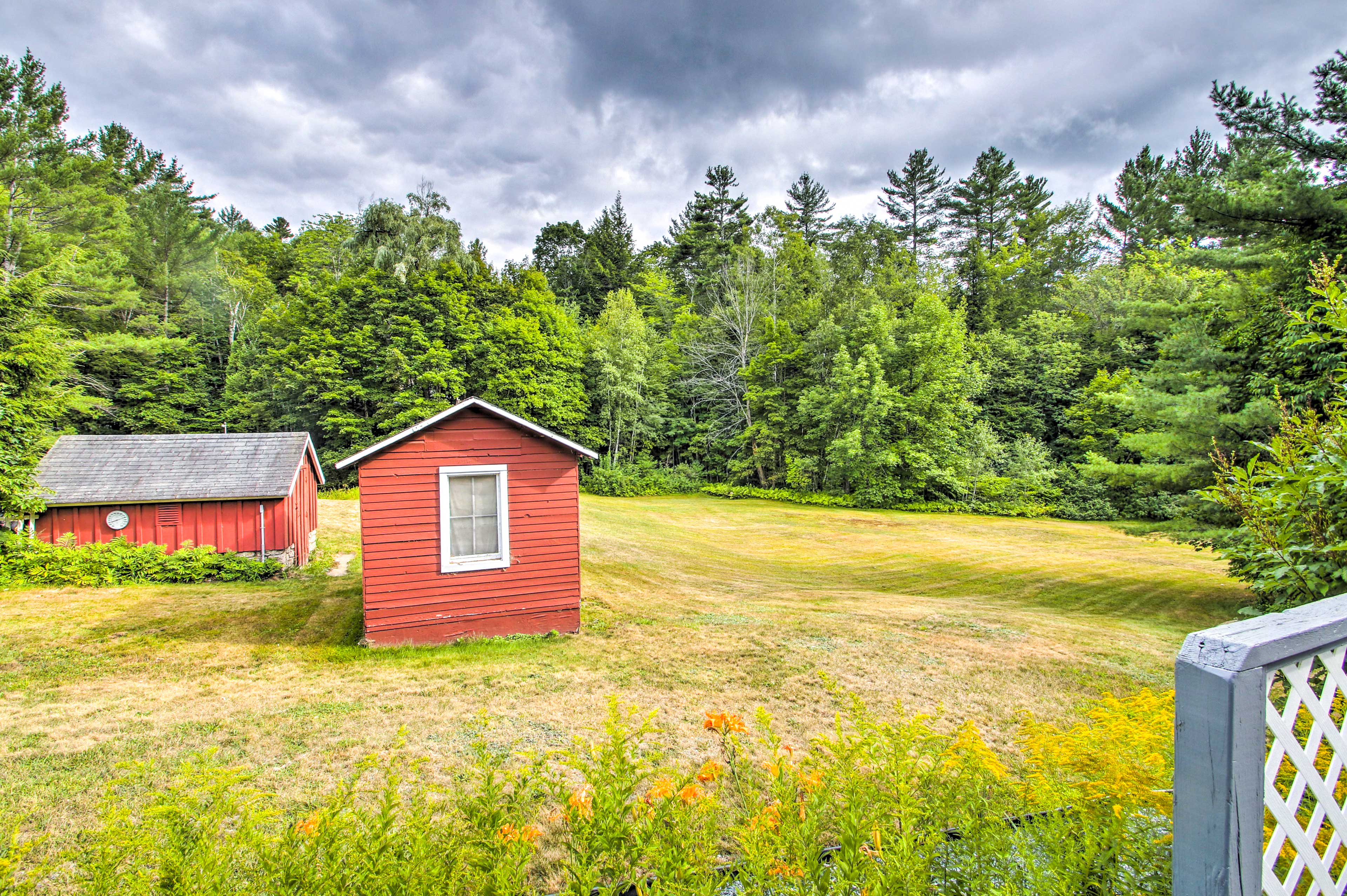 Wooded Backyard