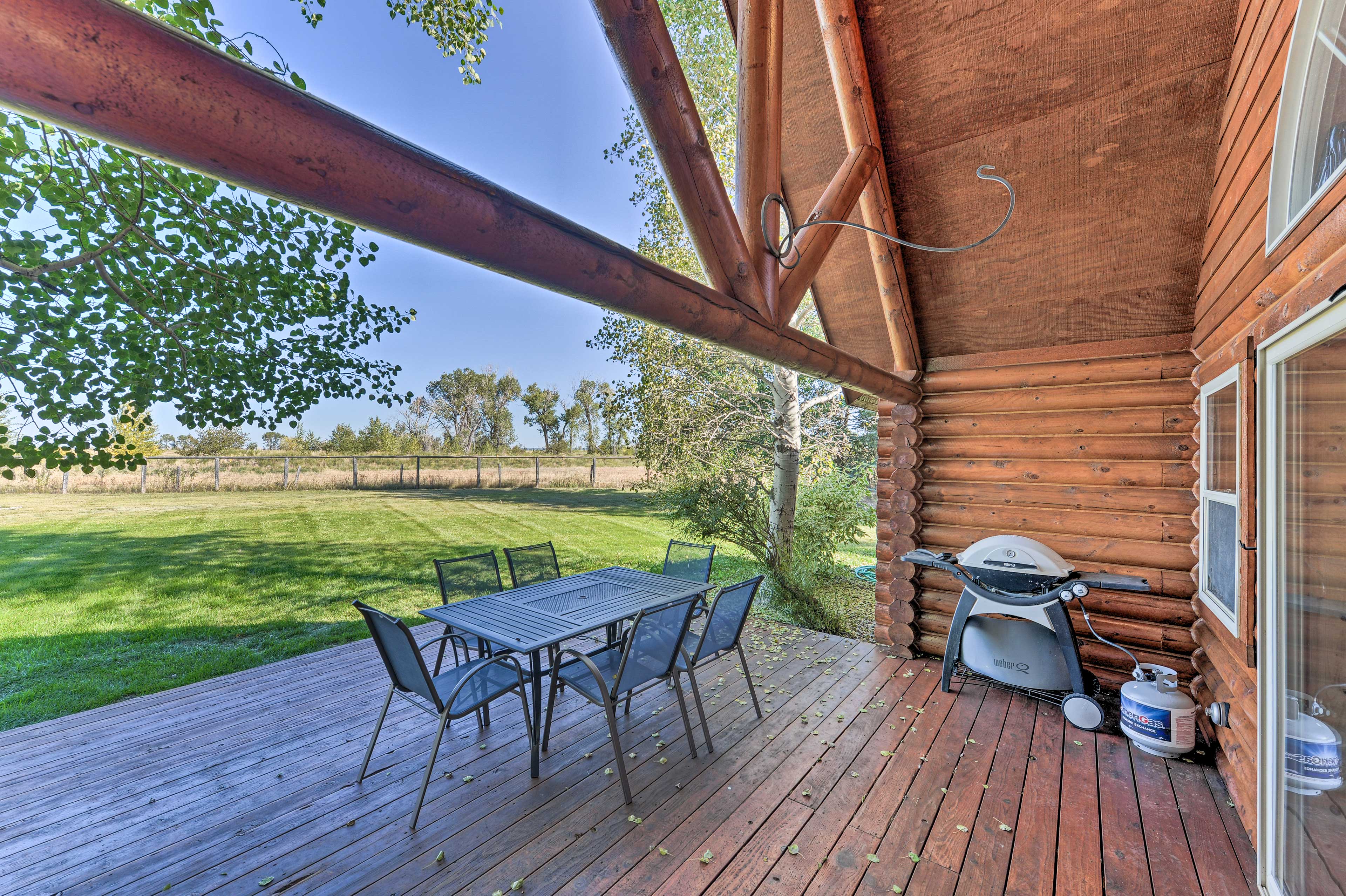 Back Deck | Gas Grill