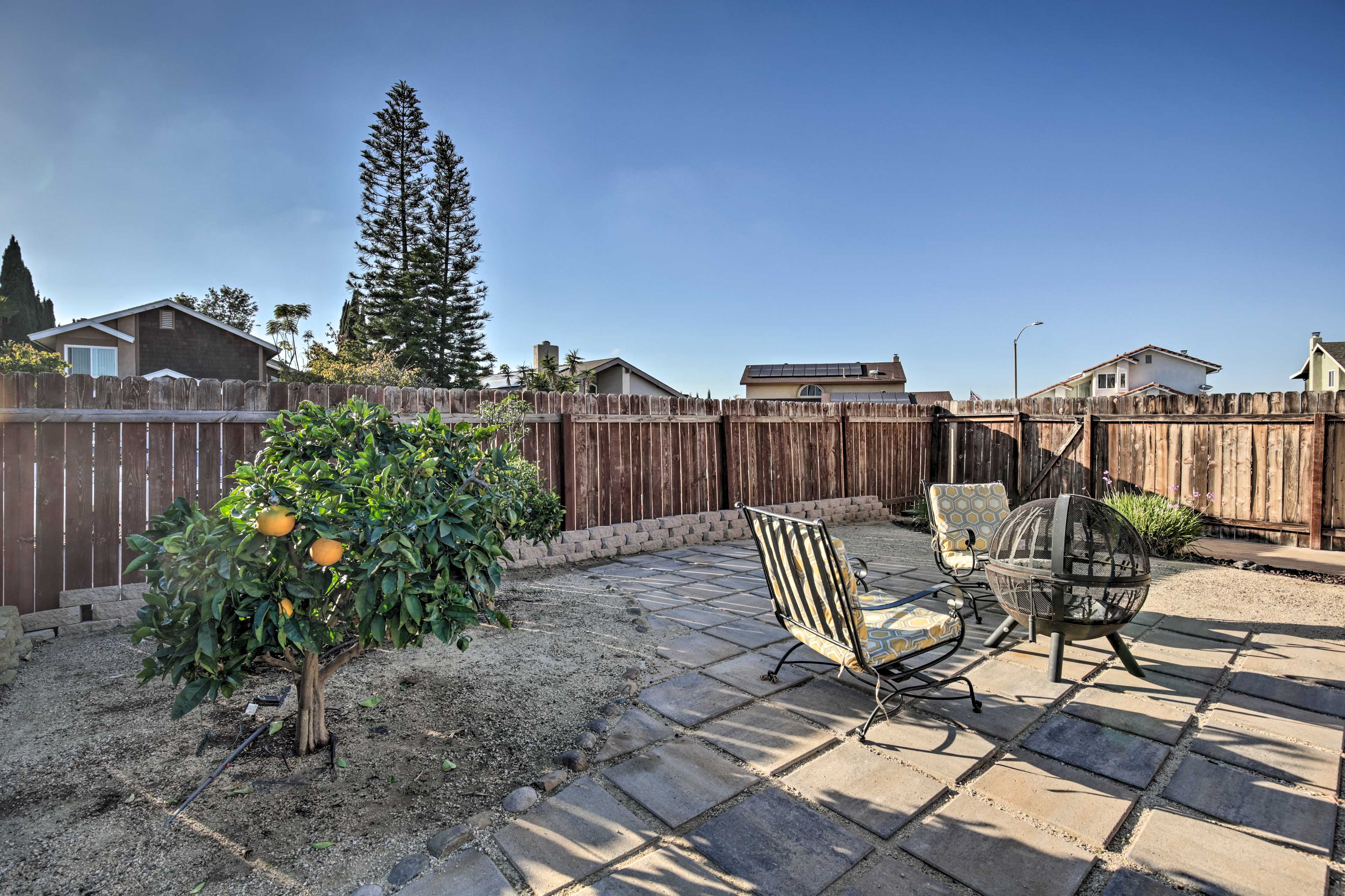 Fenced Backyard | Fire Pit | Lemon Trees