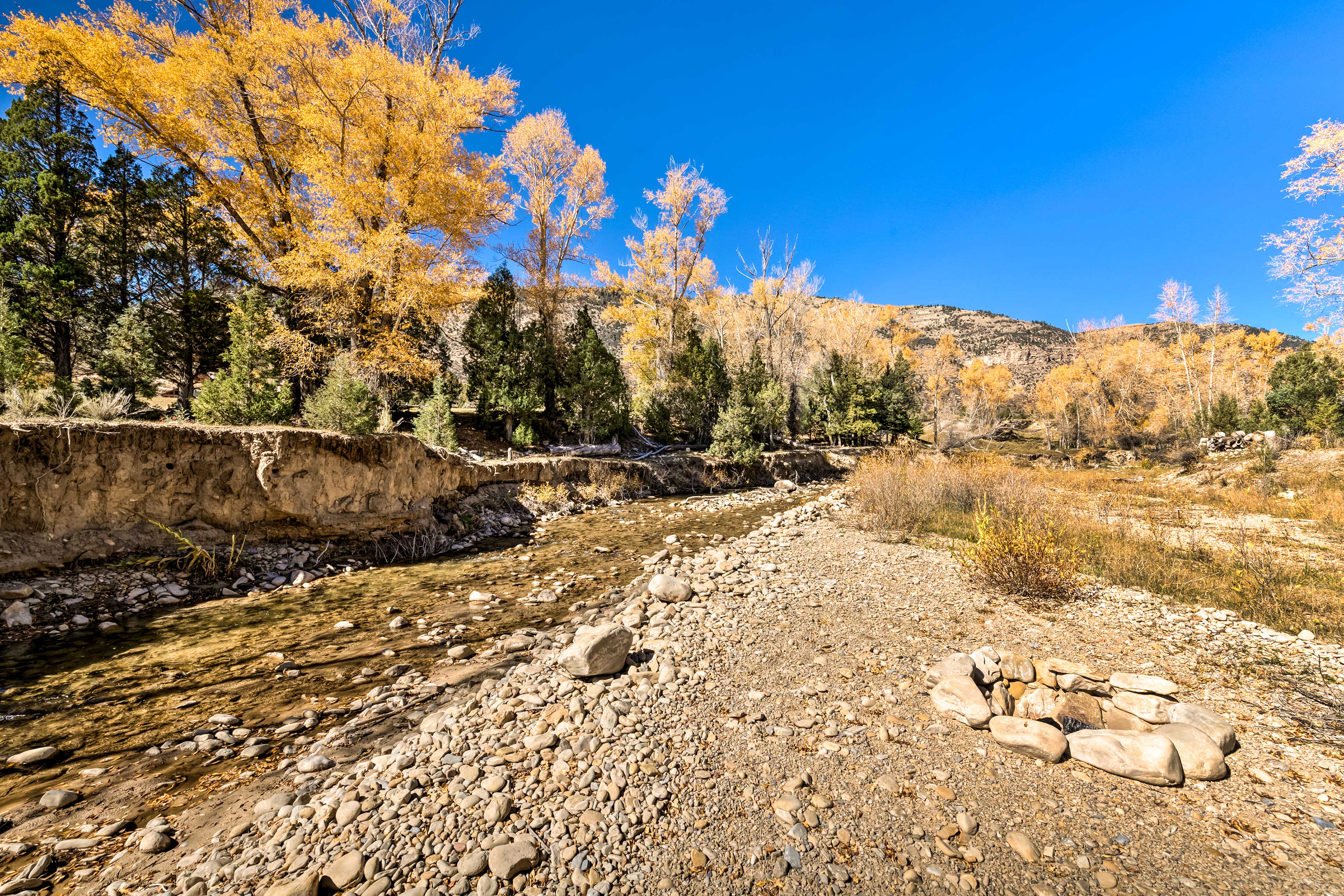 On-Site River Access | Kayak Provided w/ Life Jackets