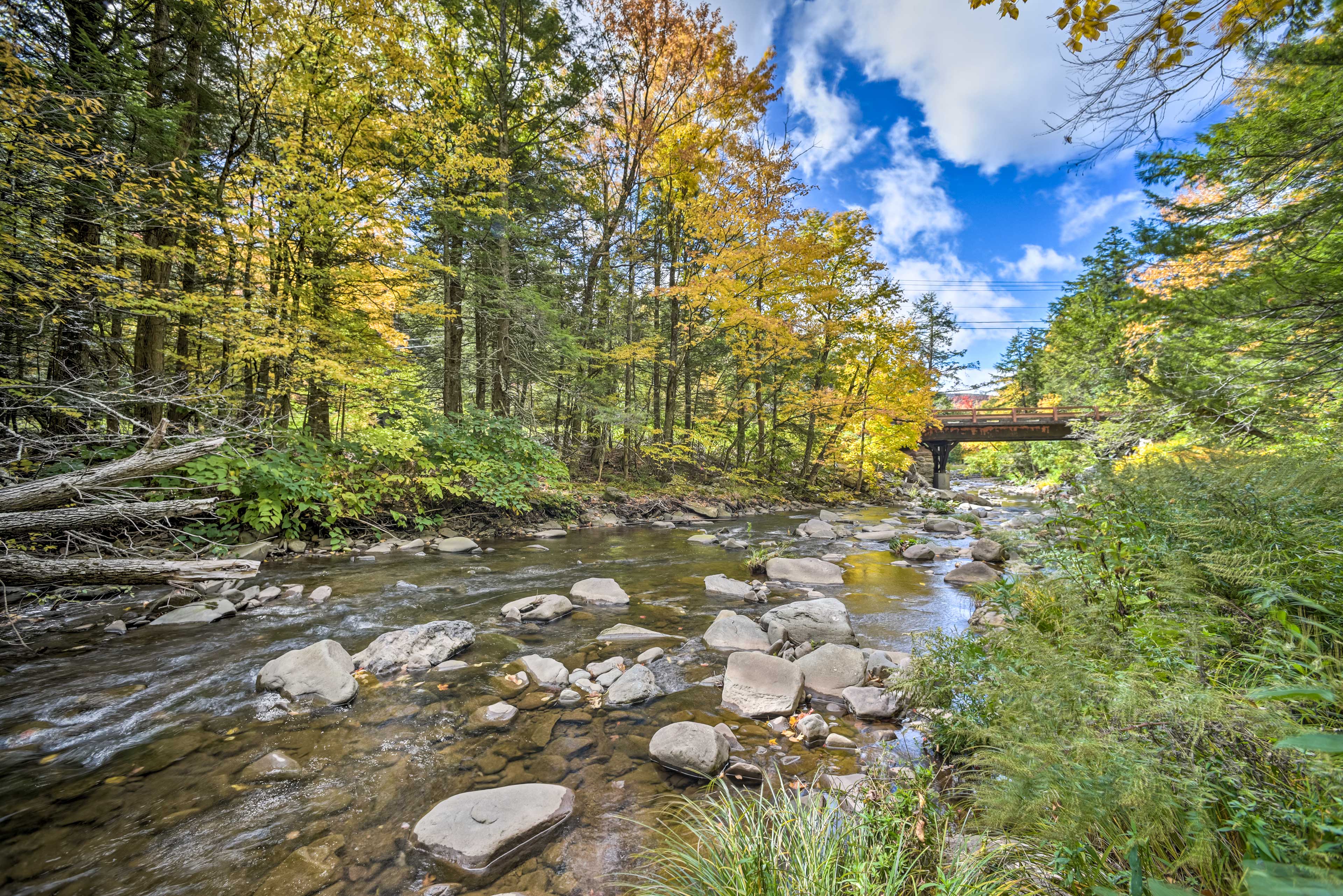 On-Site Creek | Foliage Views