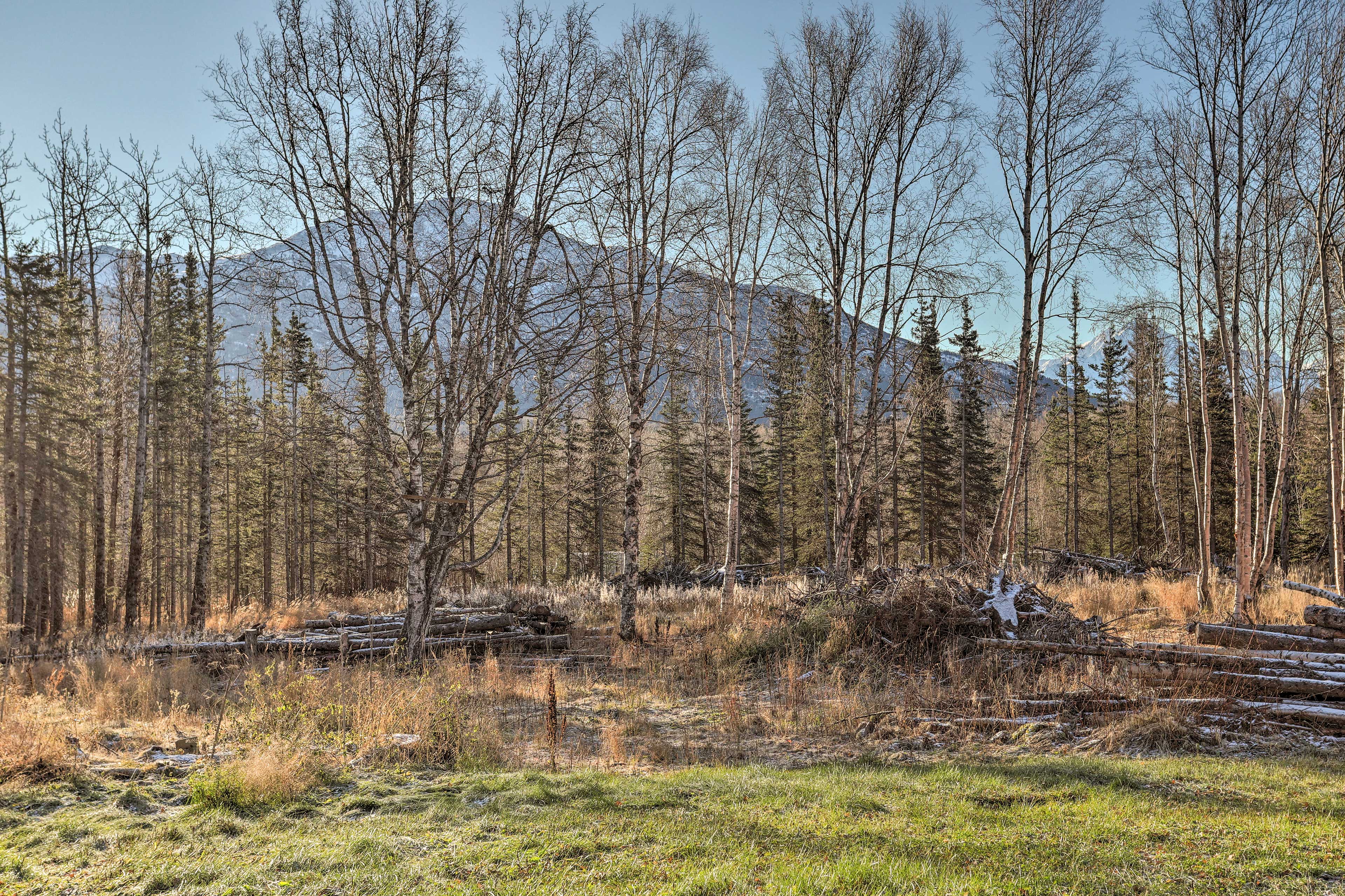 Wooded Backyard | Mountain View