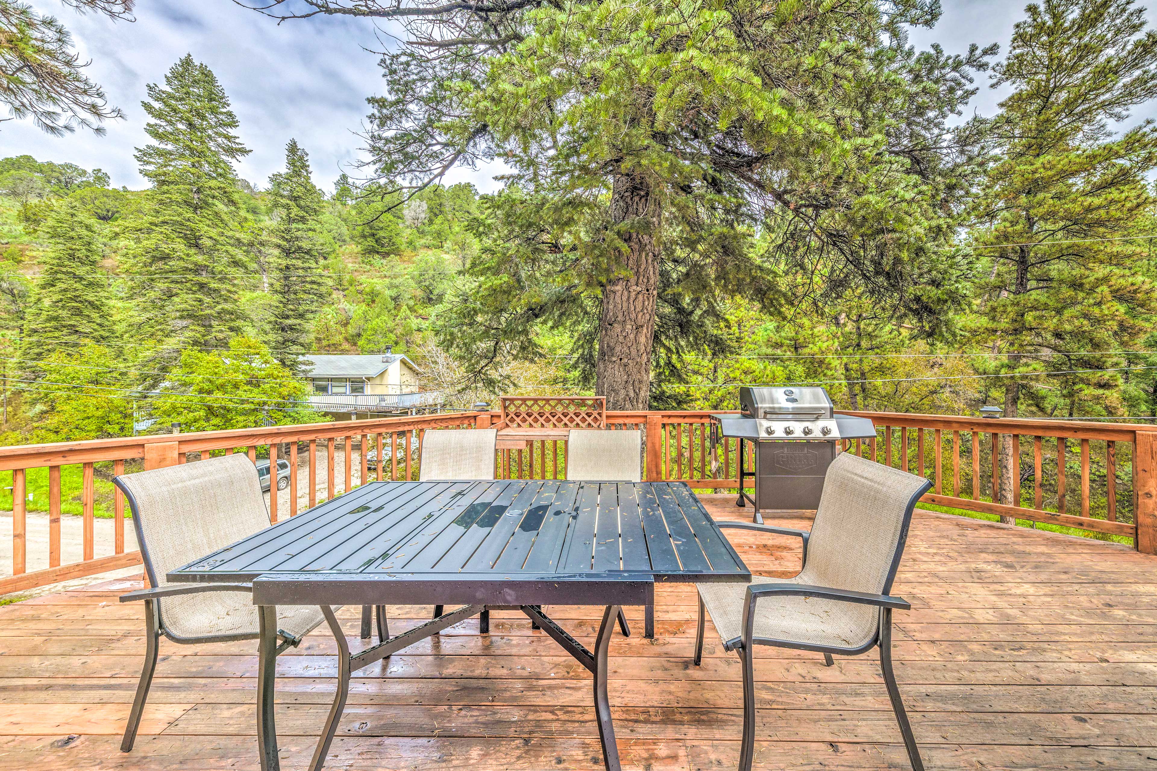Deck | Gas Grill | Forest Views | Single-Story Property