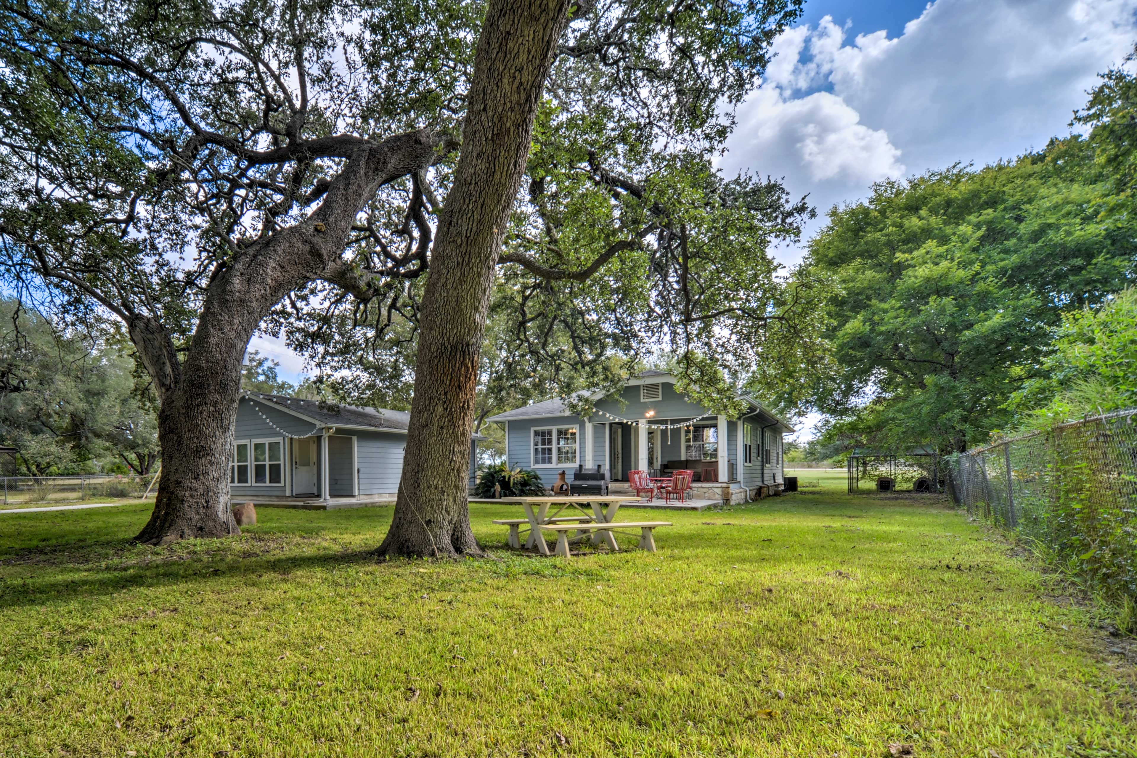 Yard | Hammock | Picnic Table