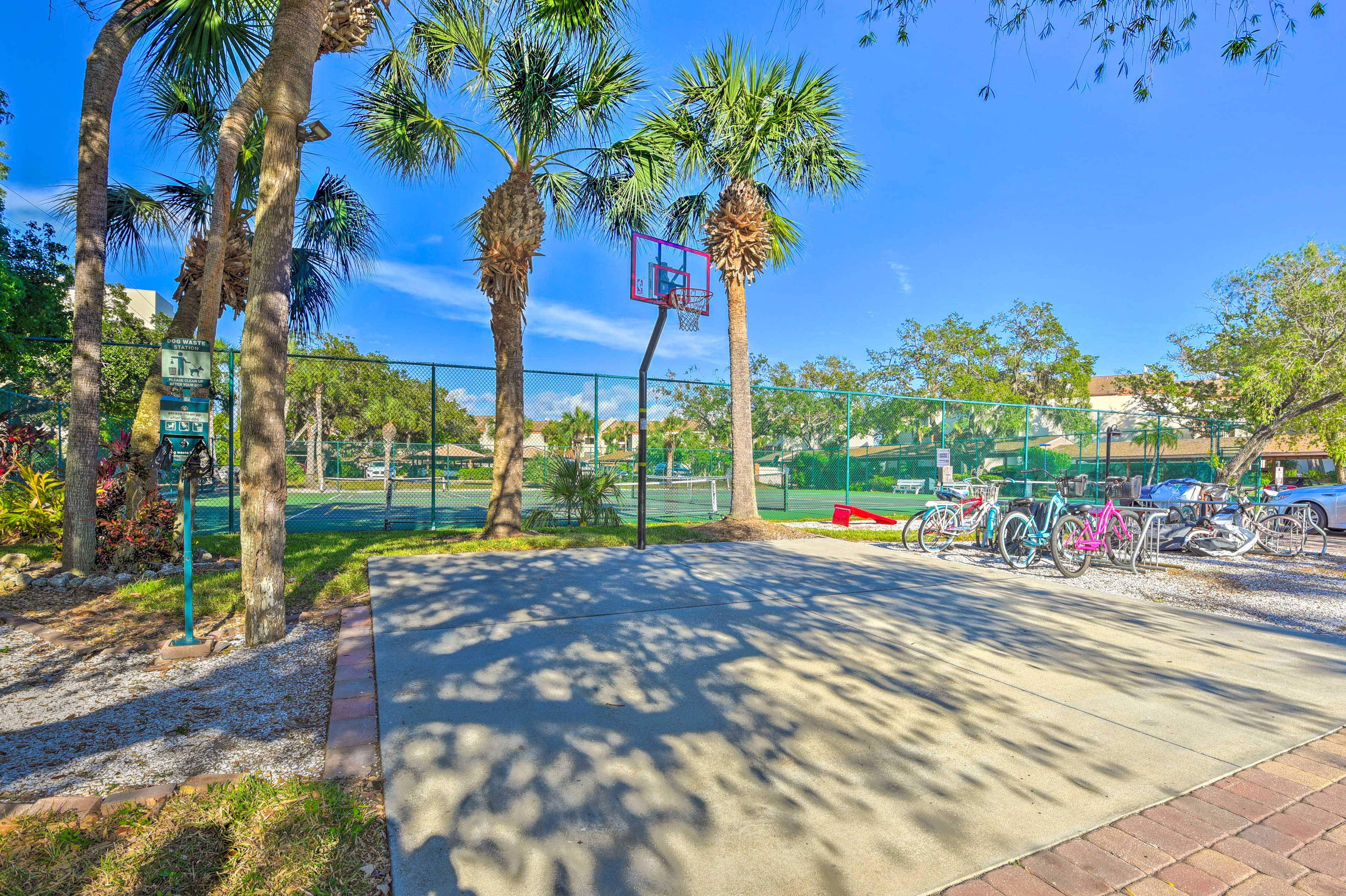 Basketball Court