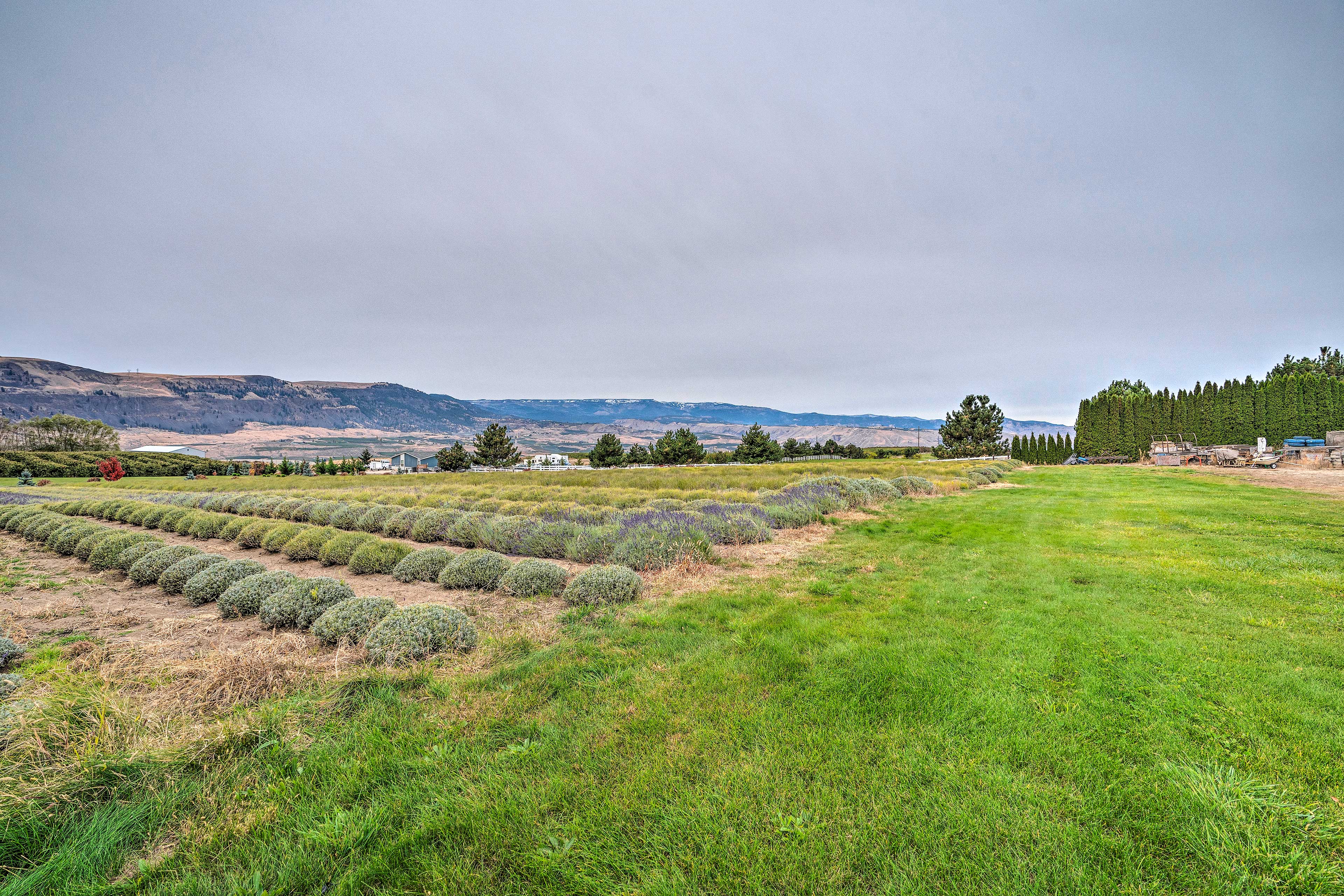 Studio Exterior | Lavender Fields On-Site