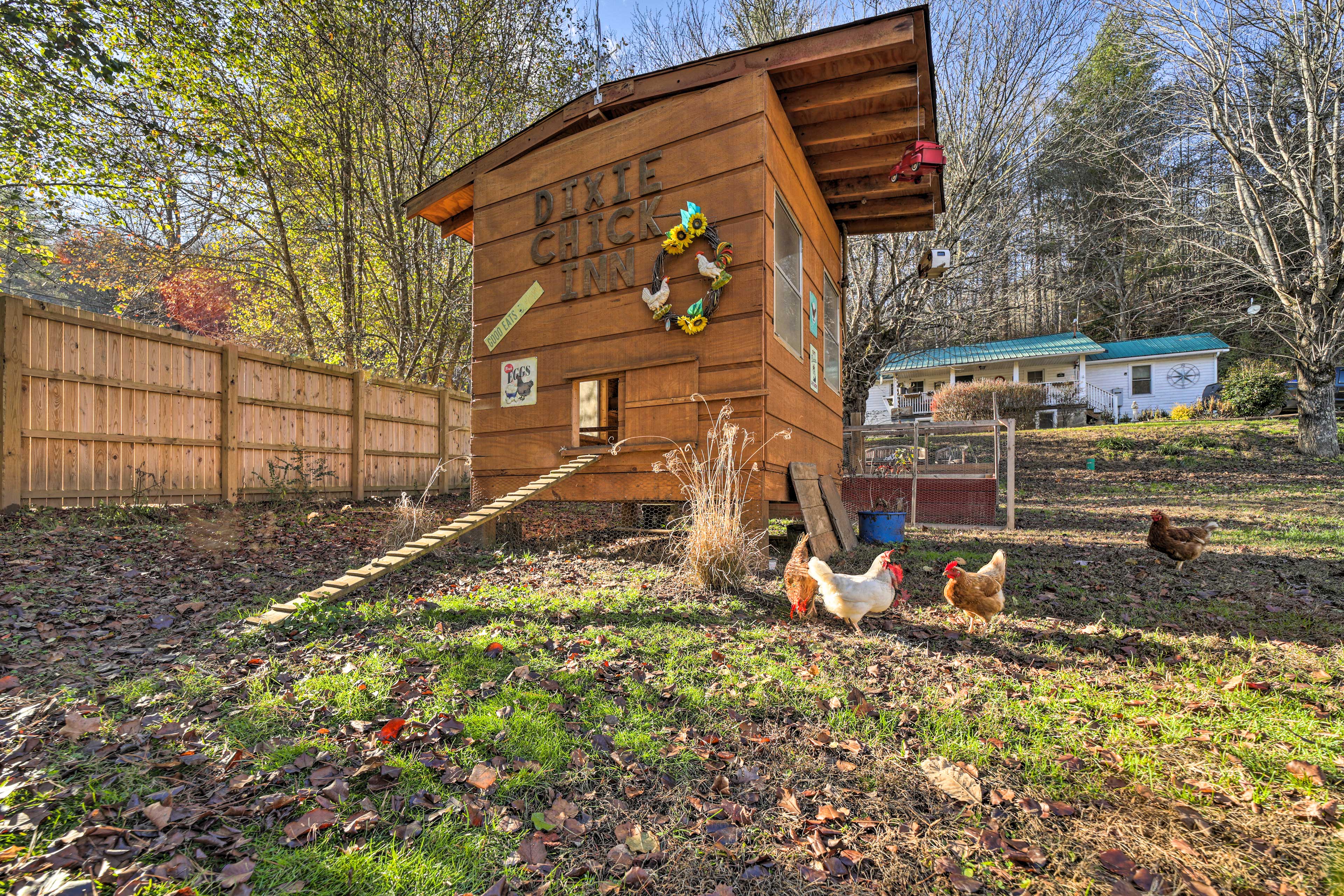 Free-Range Chickens On-Site