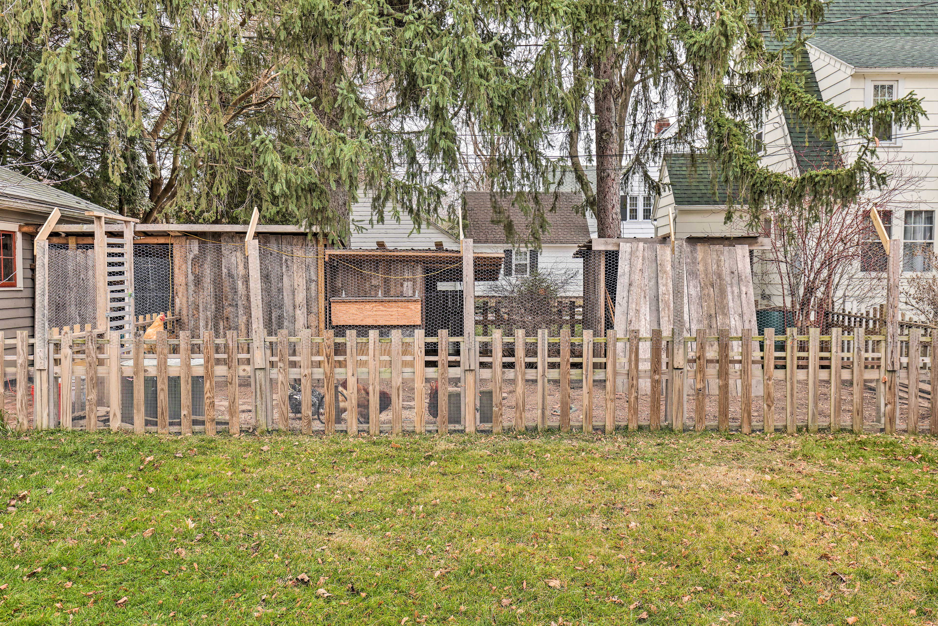 Chicken Coop w/ 9 Chickens