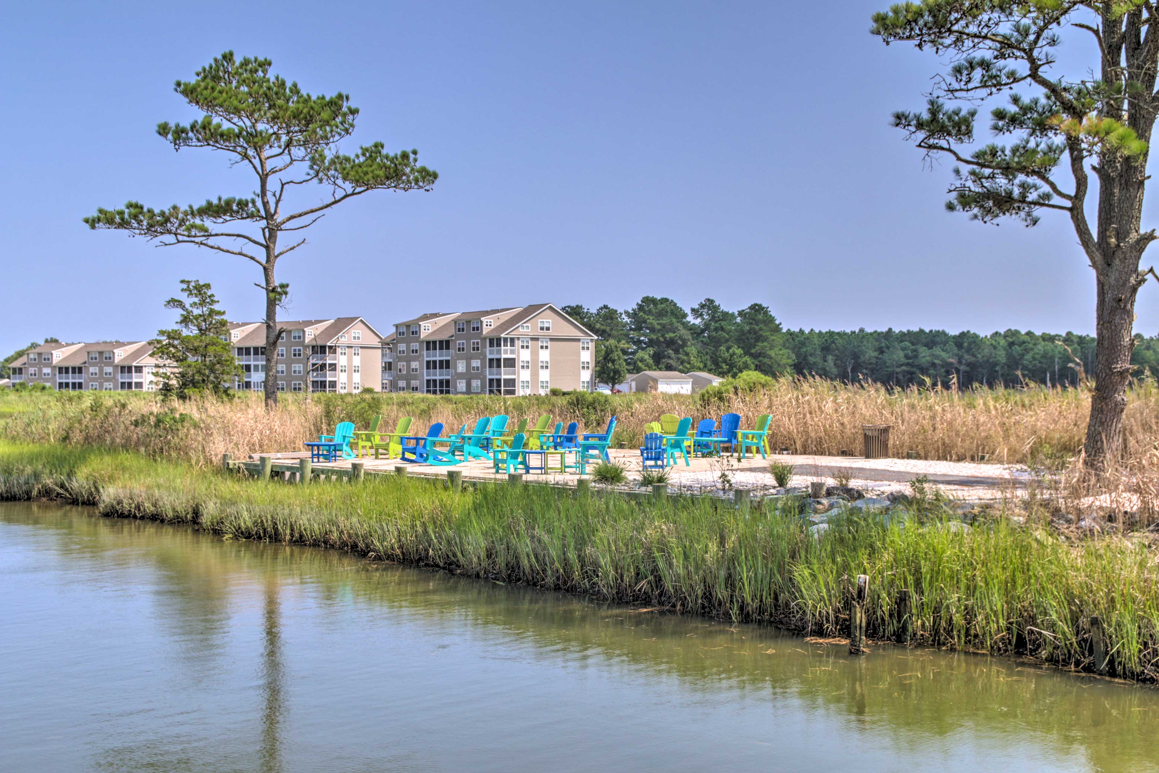 Seasonal Bay Forest Amenities | Waterfront Trails & Seating Areas