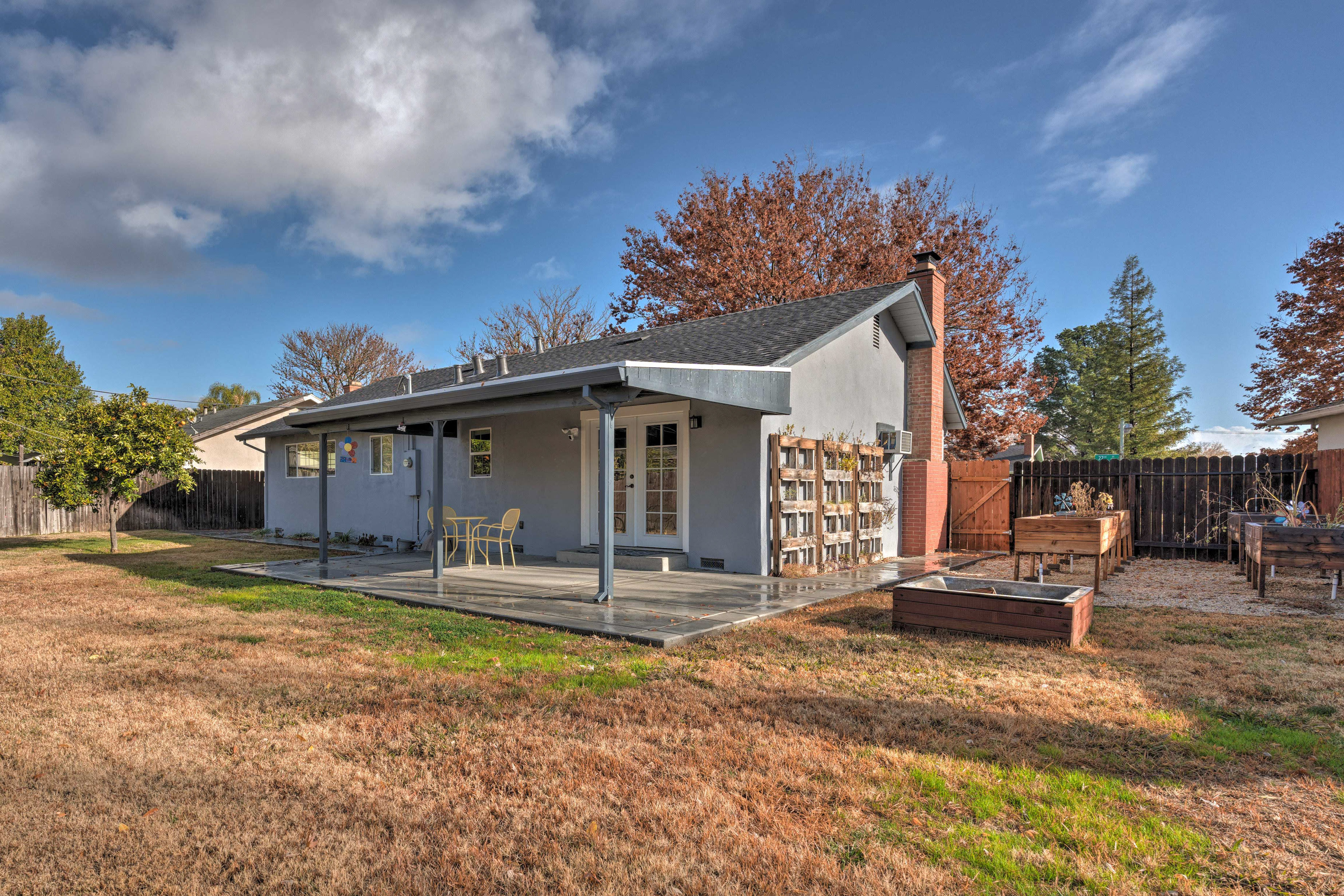 Fenced-In Backyard | Private Patio | Garden | Orange Tree