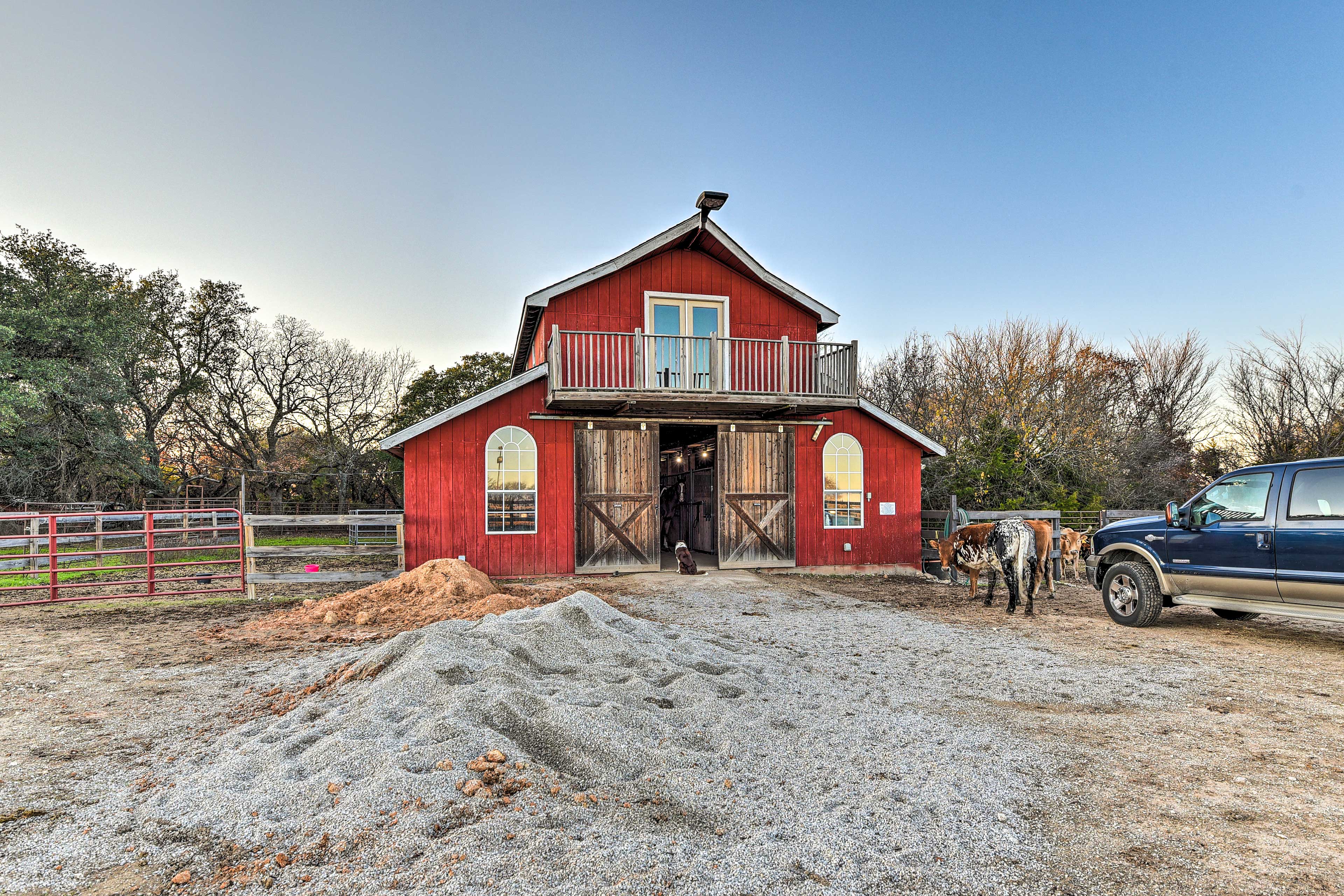 Shaded Horse Pens | Free-Range Horses, Donkeys & Cows