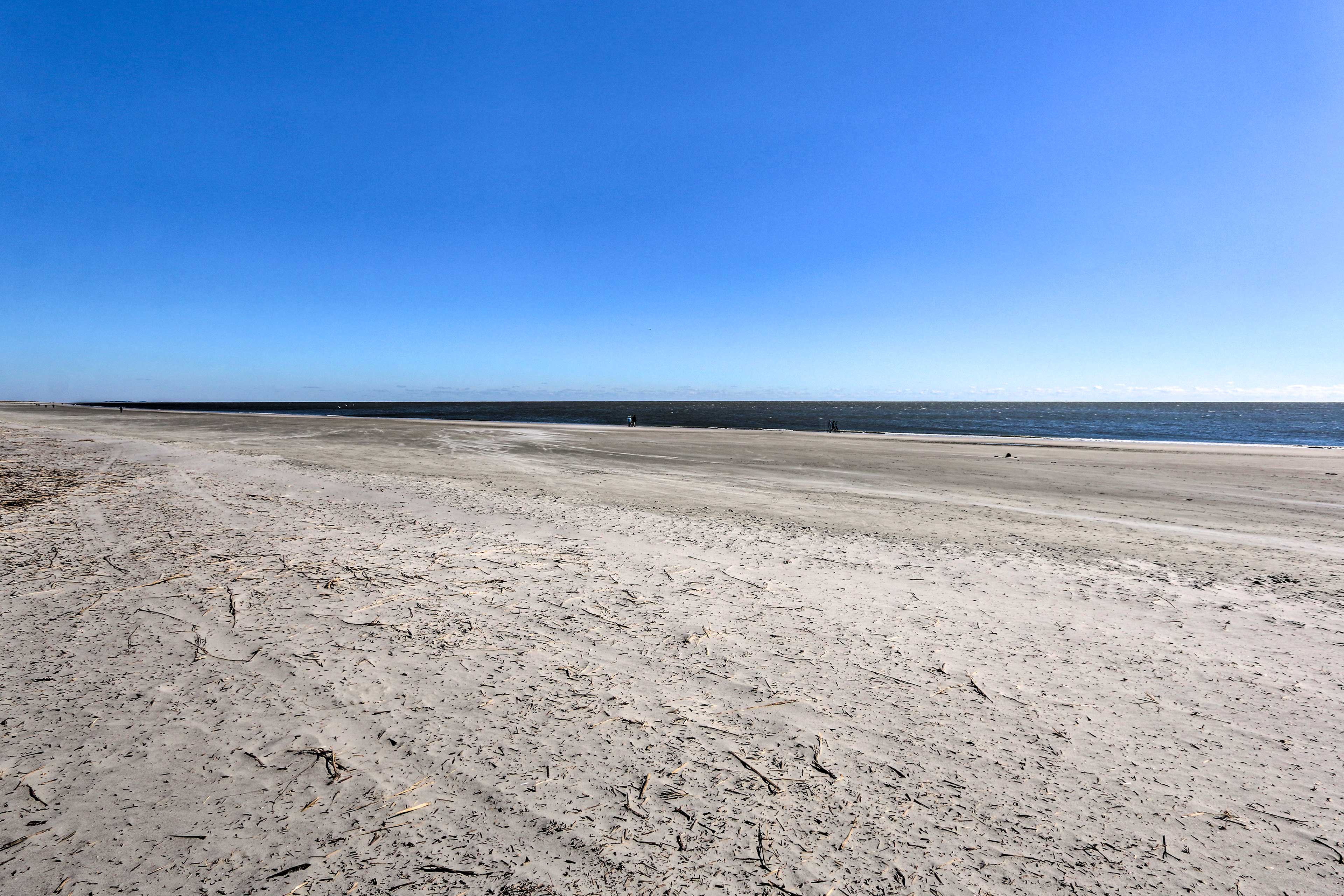 Folly Field Beach