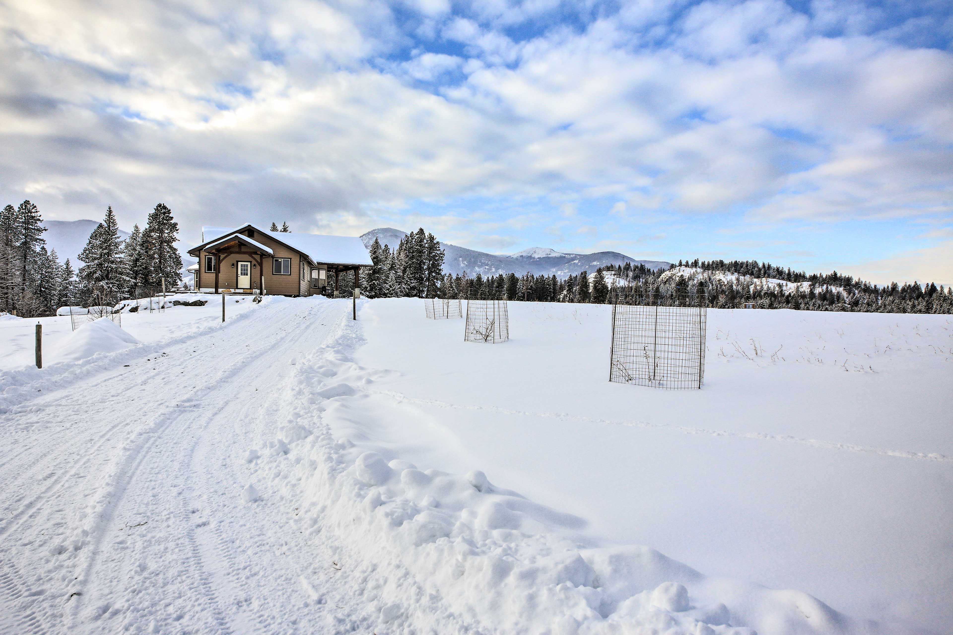 Driveway