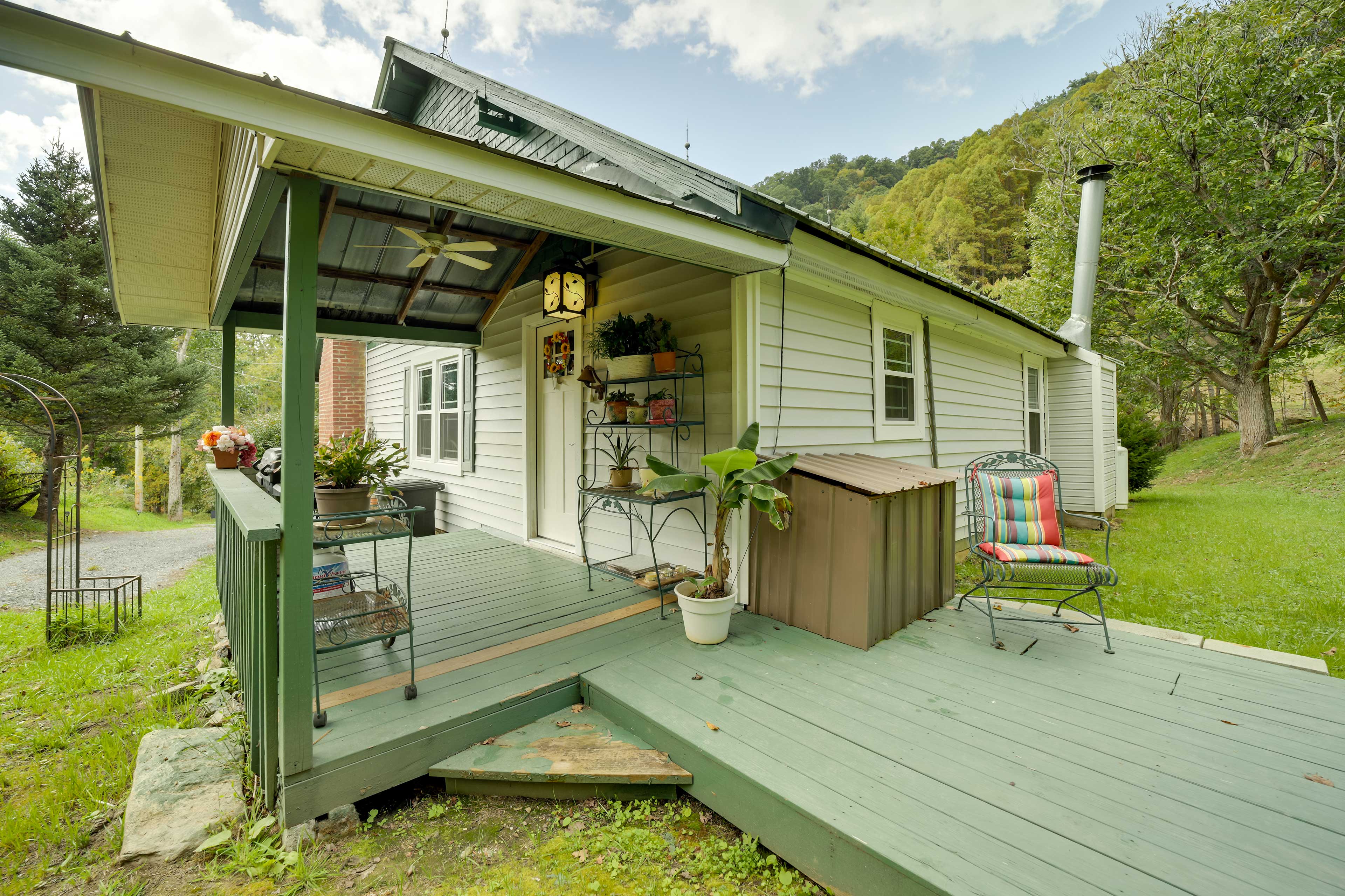 Private Yard | Fire Pit | Hammock | Mountain View