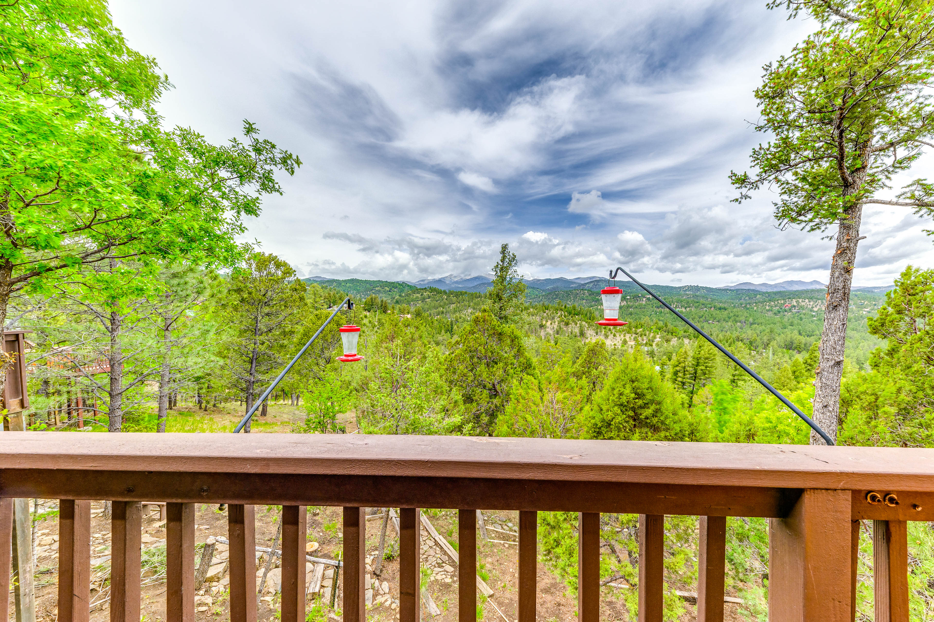 Deck View Summer