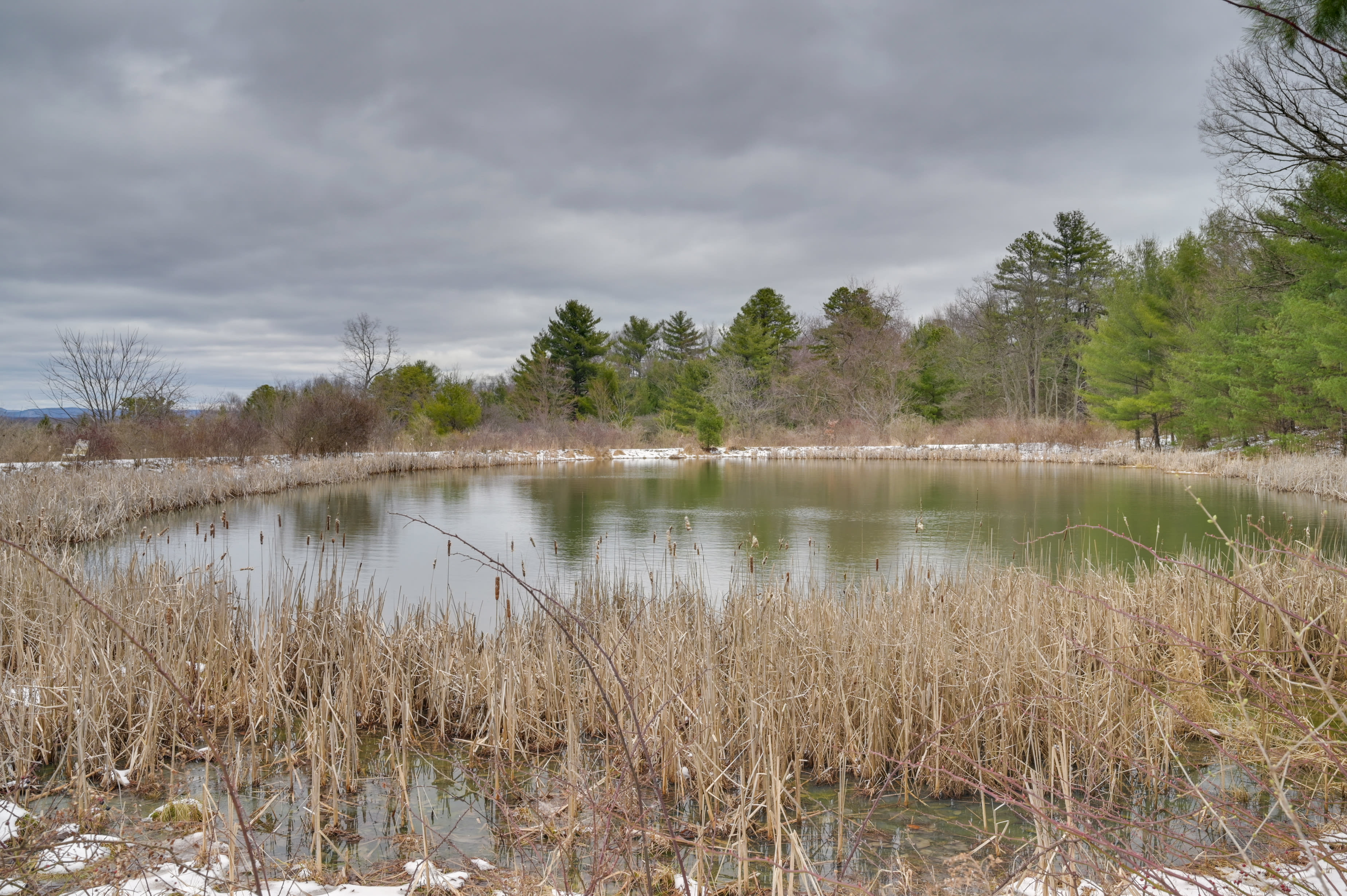 Pond On-Site