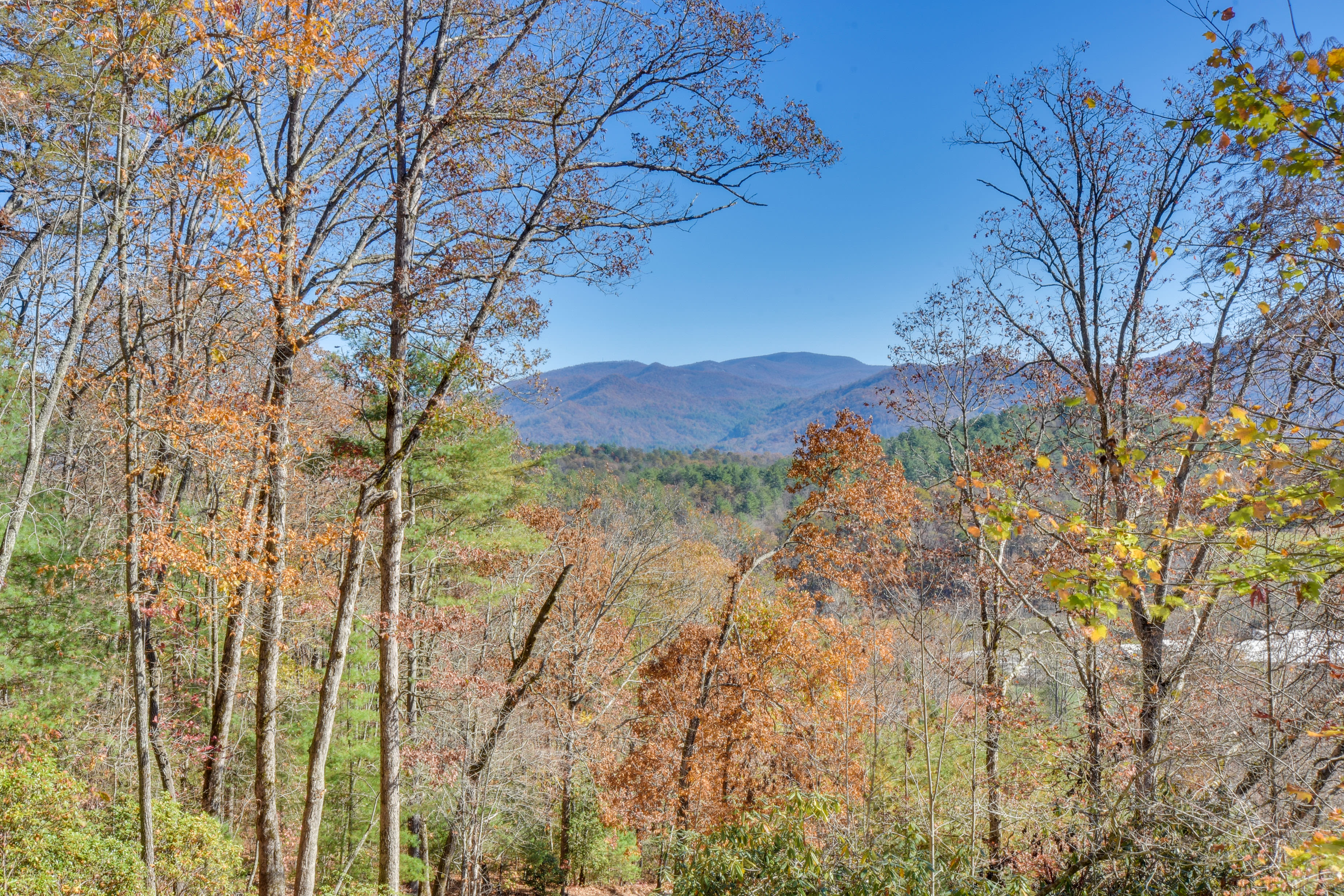 View From Deck