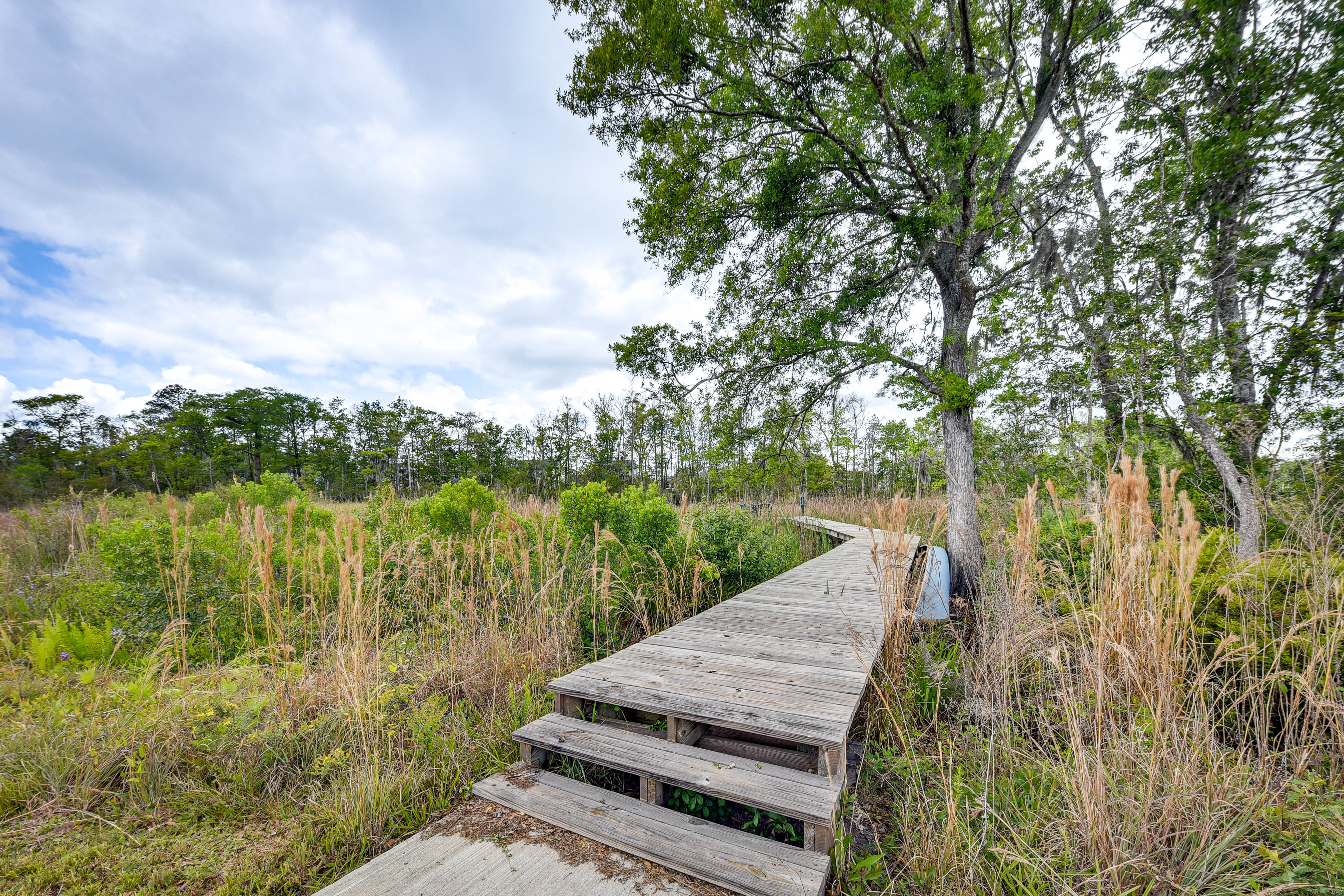 Walkway to Dock