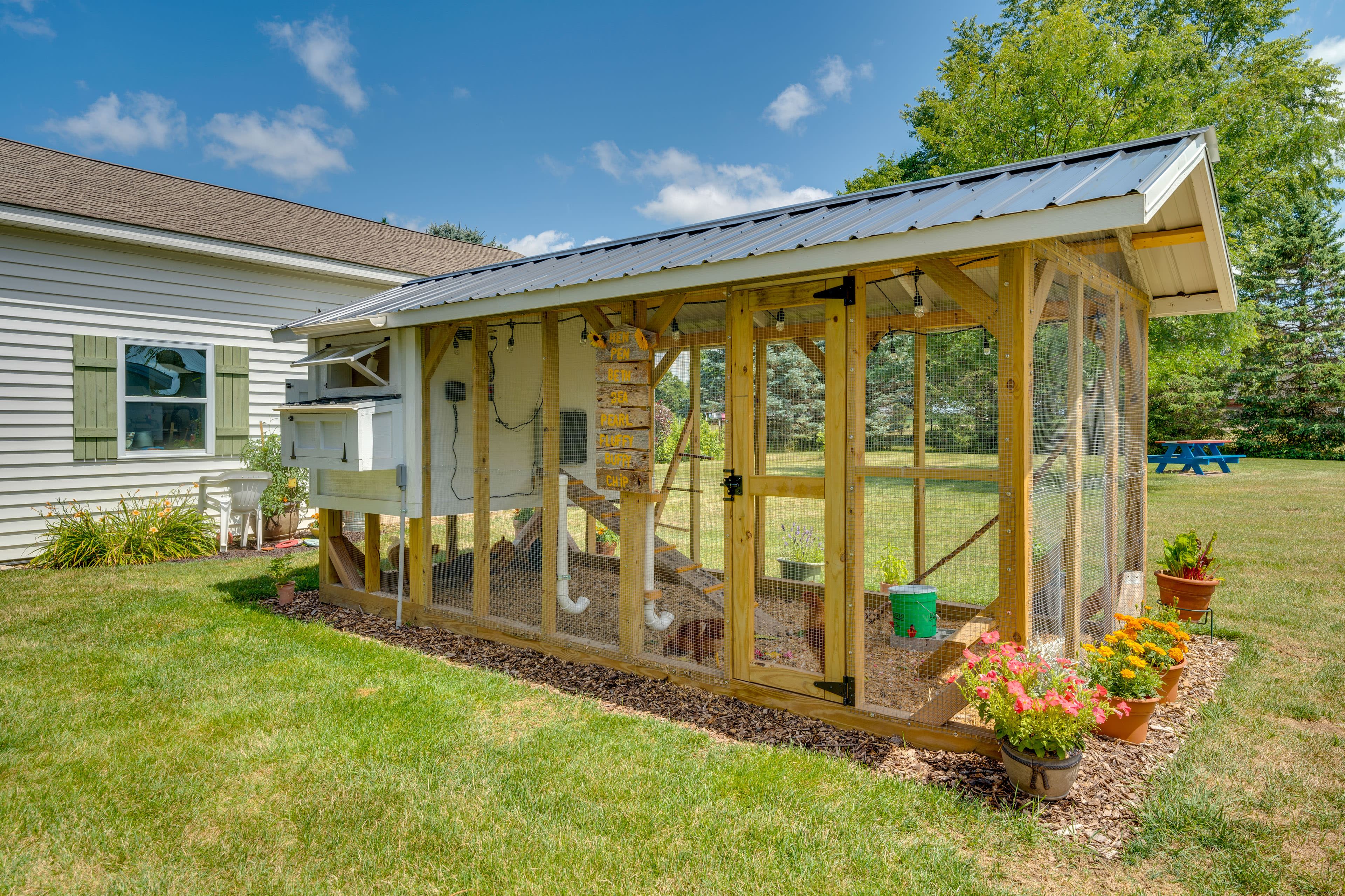 Shared Yard | Chicken Coop