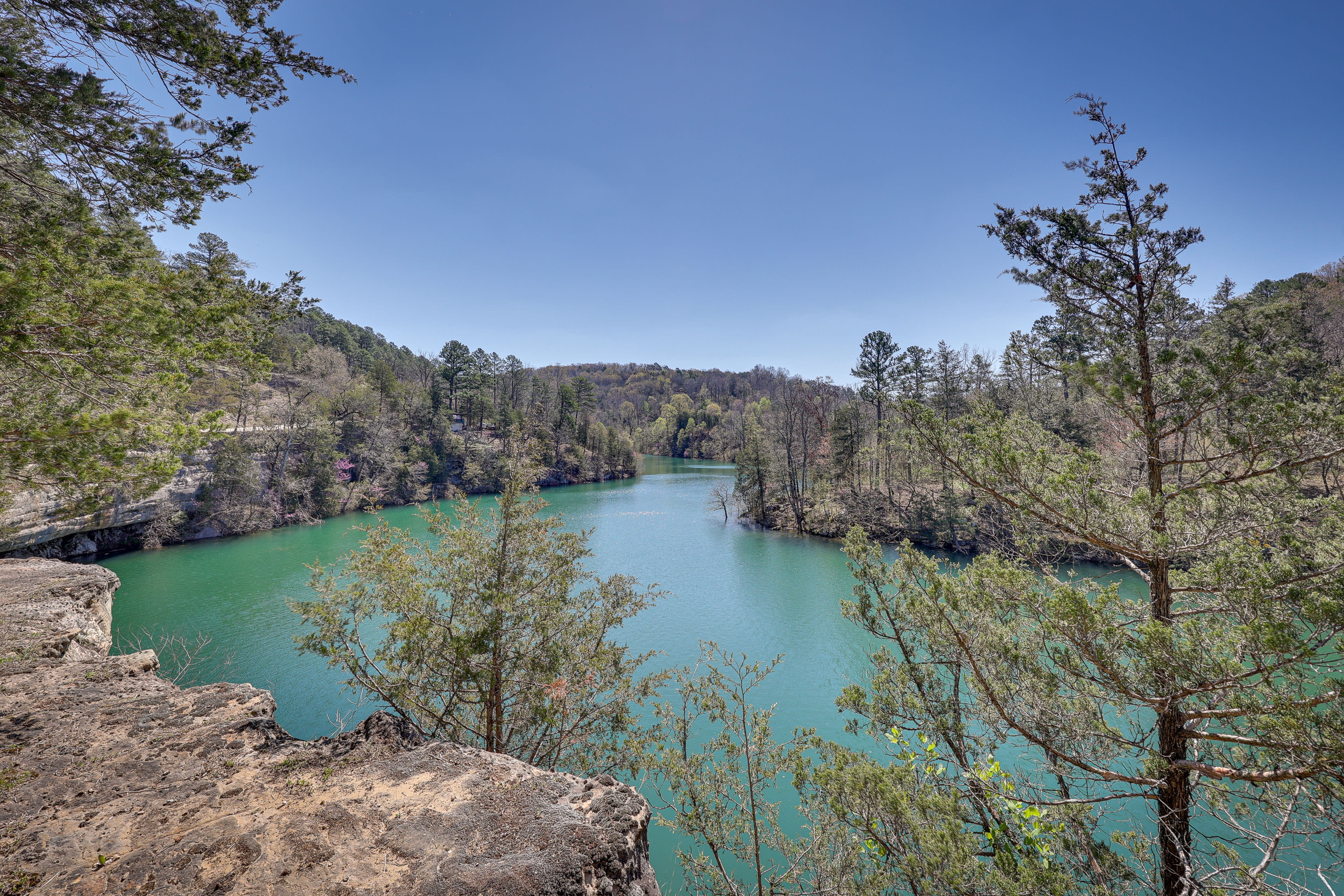 View From Cabin