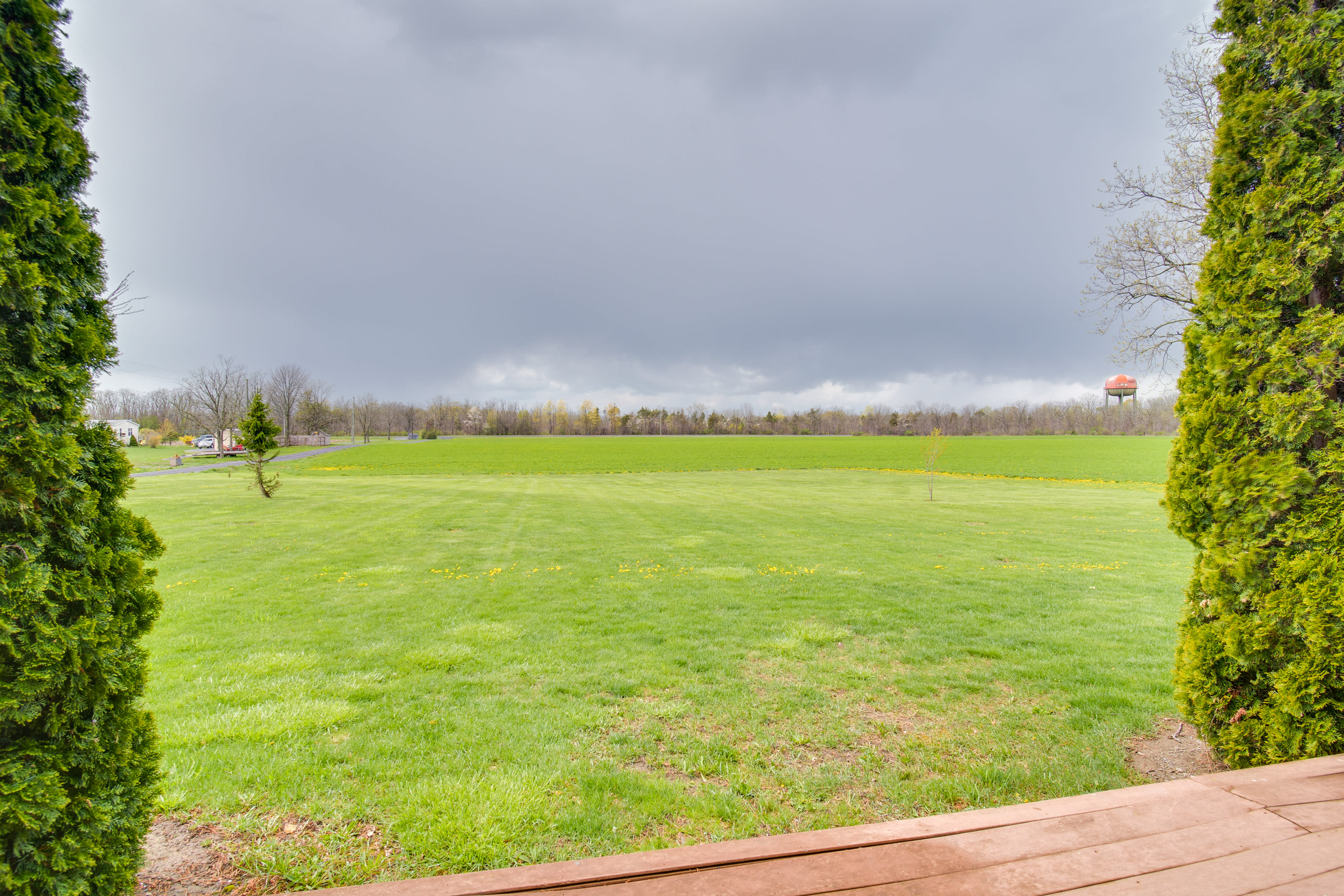 Deck View