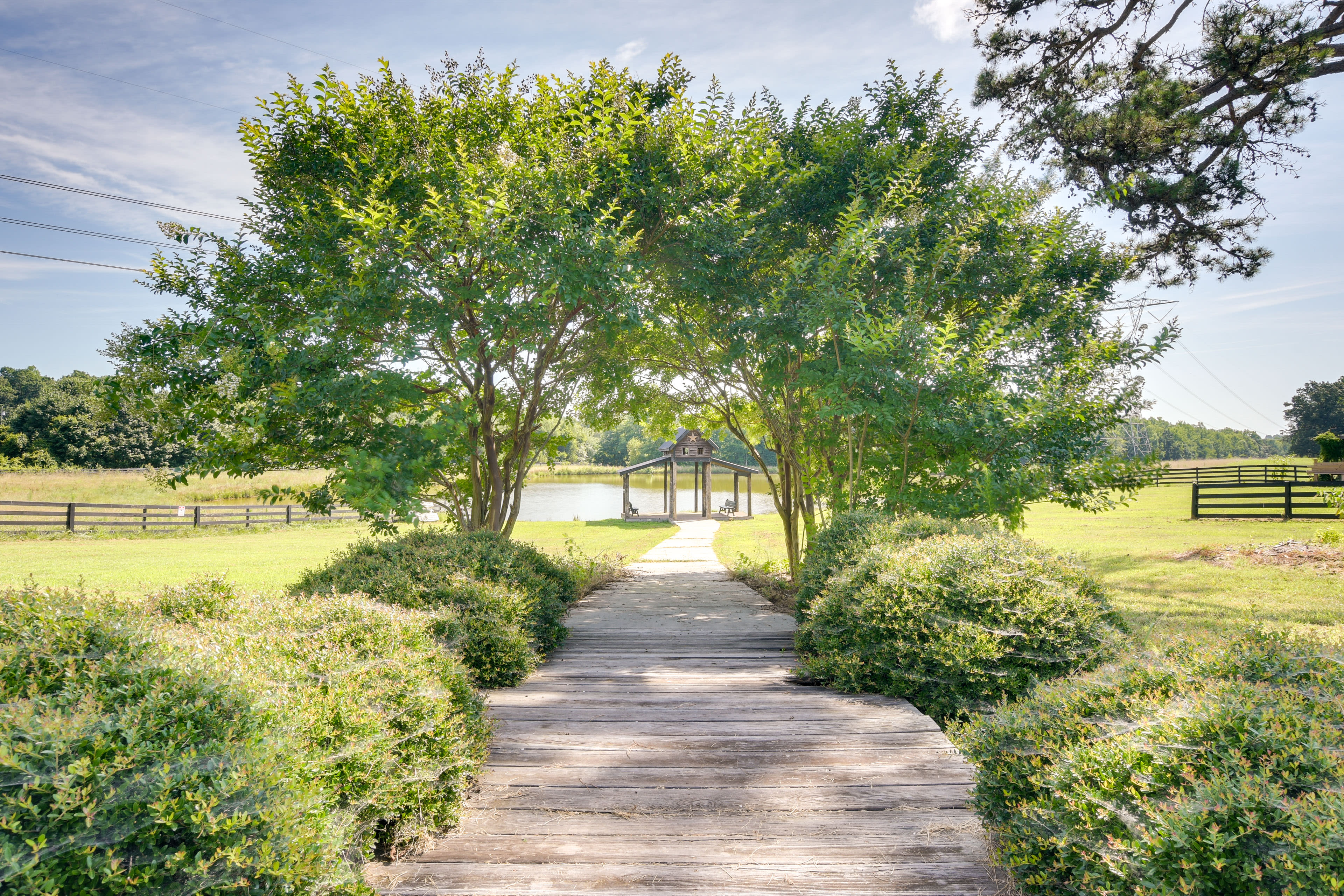 Pond On-Site