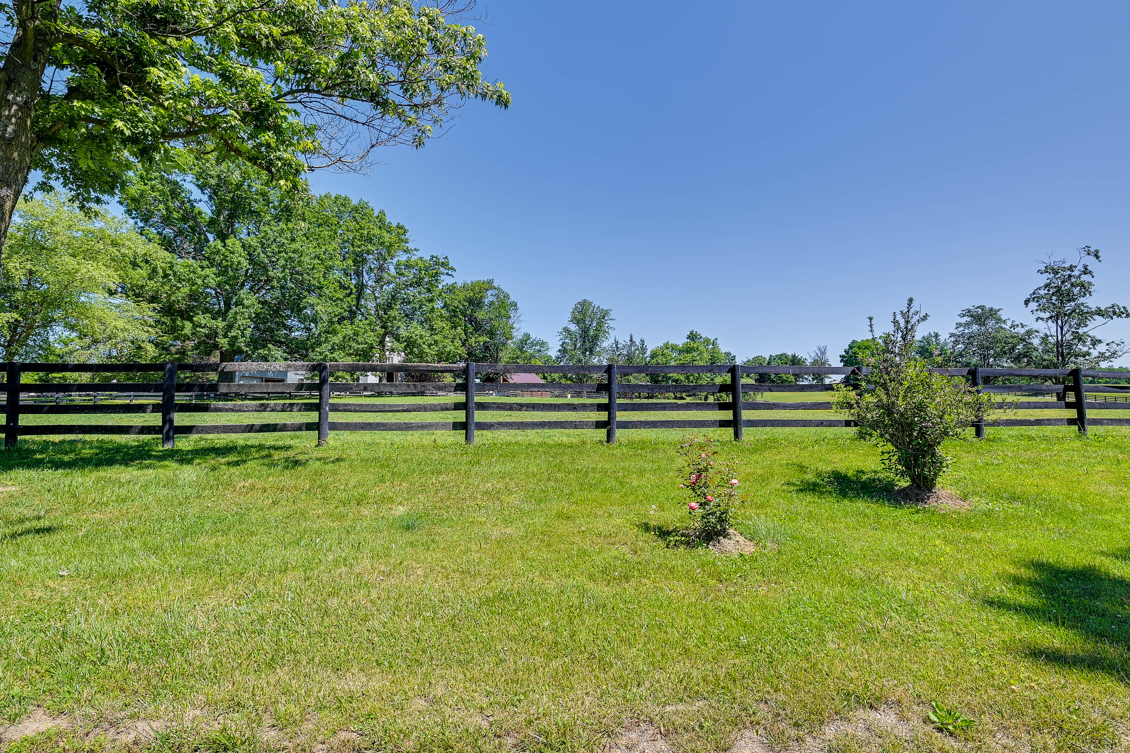 Paddock | Horses On-Site