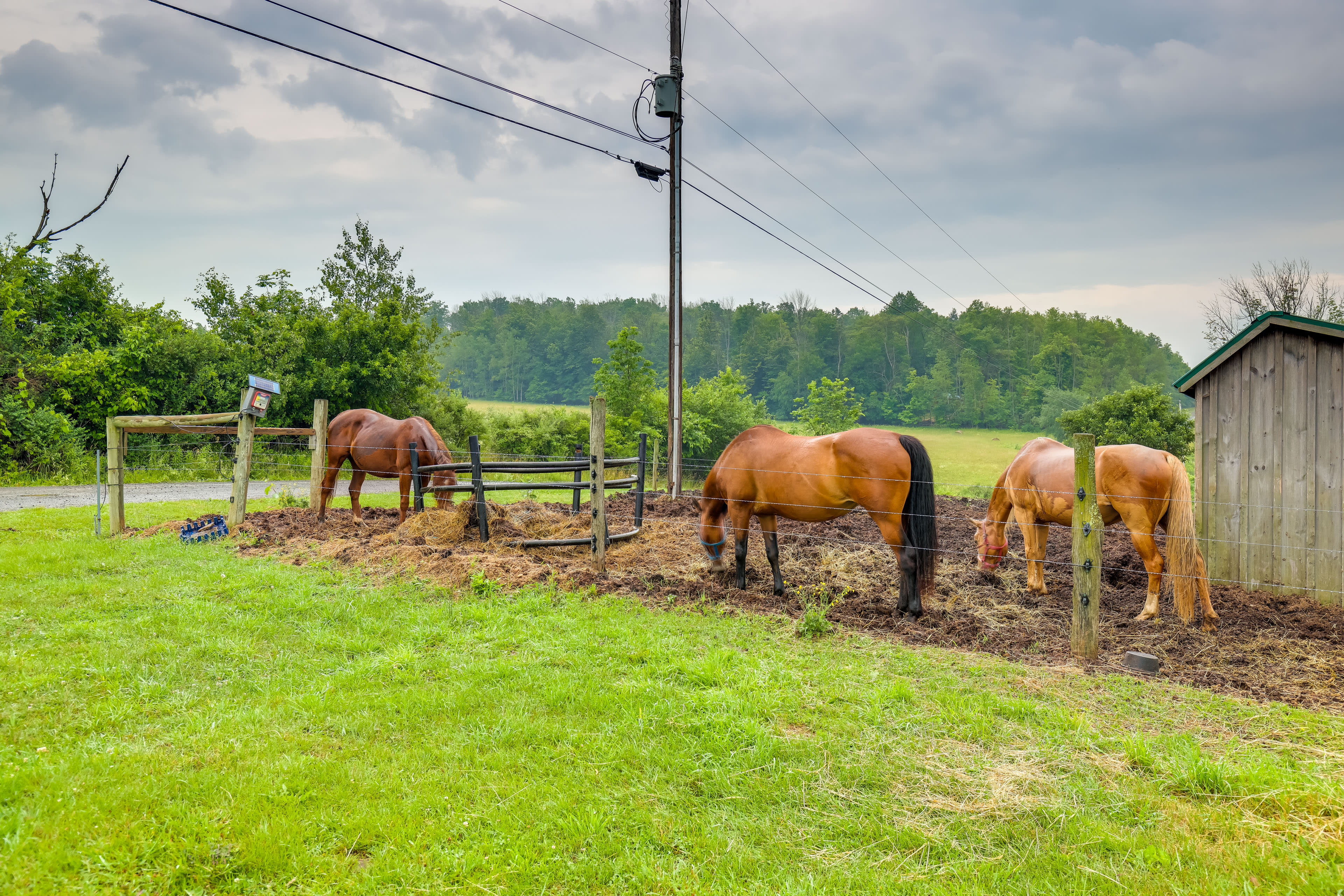 Horse Riding | Hiking Trails On-Site | 400 Acres