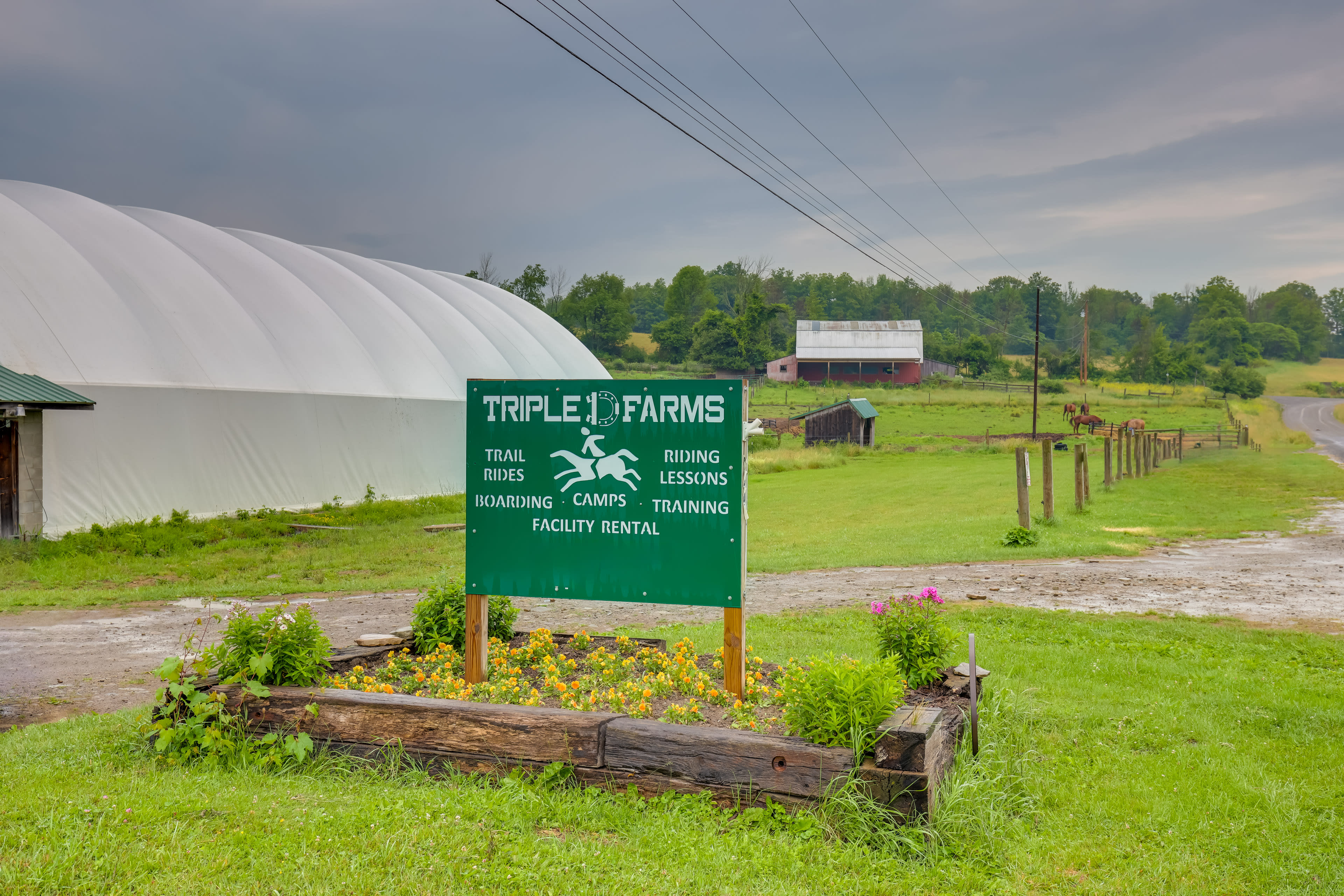 Horse Facility On-Site