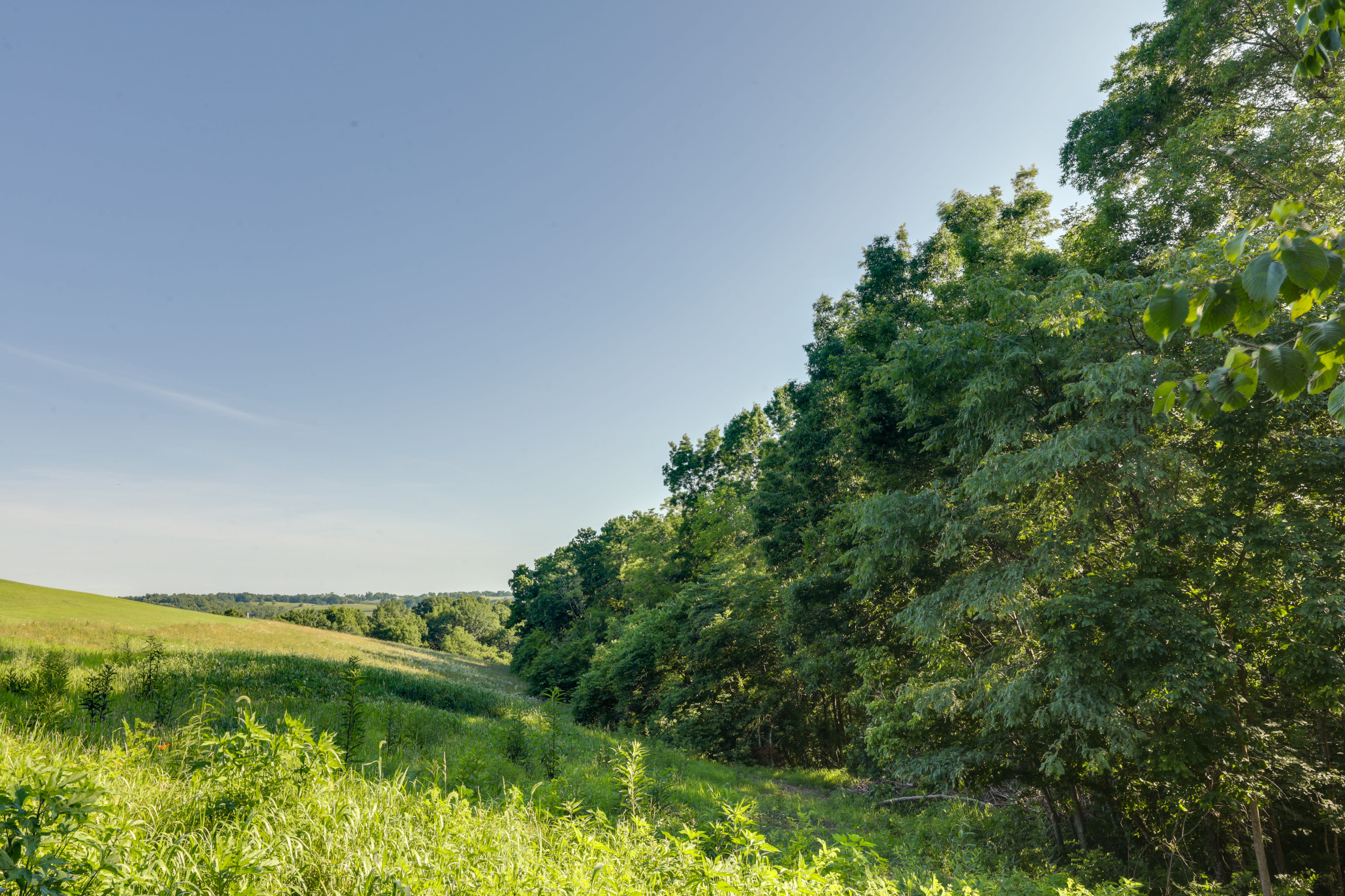 Rural Surroundings