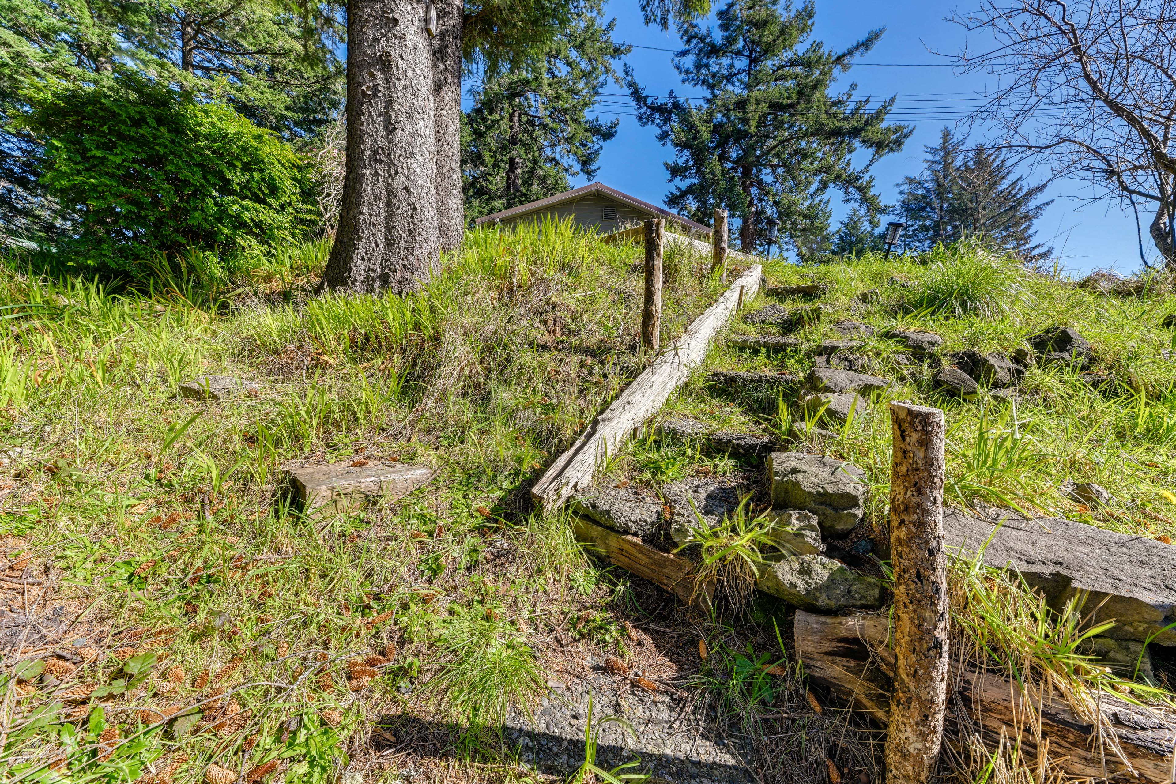 Walking Trail