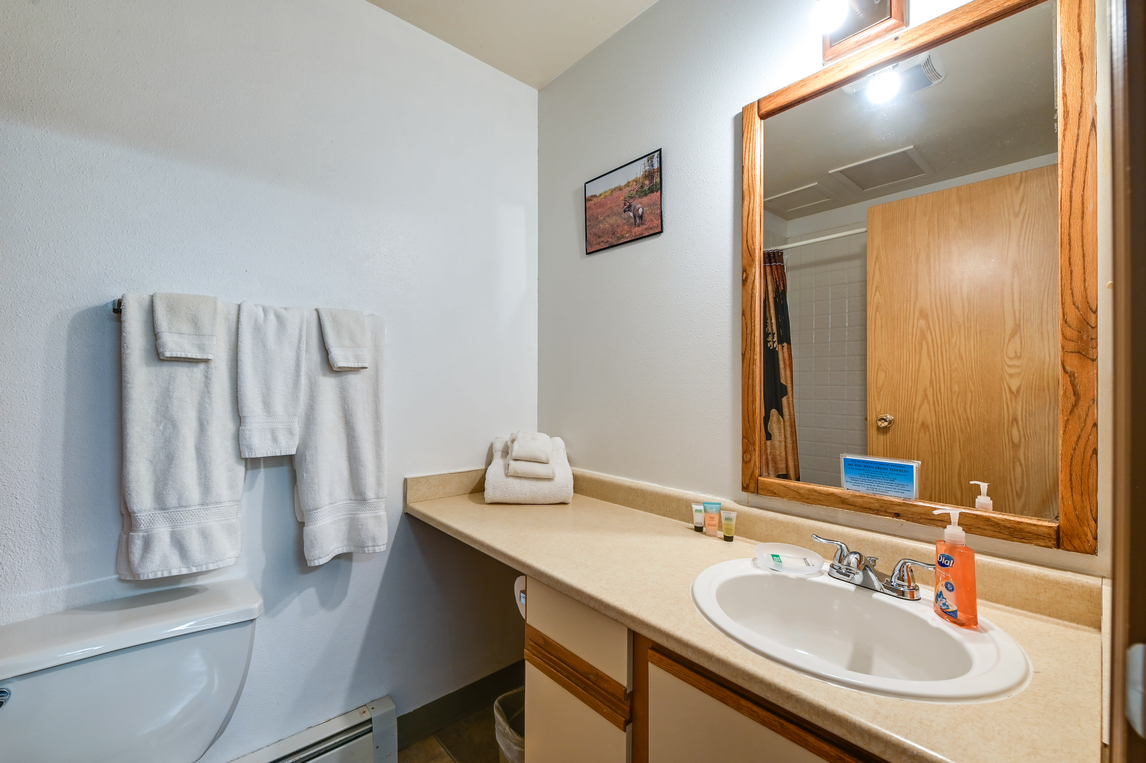 Full Bathroom | Towels Provided | Complimentary Toiletries | Shower/Tub Combo